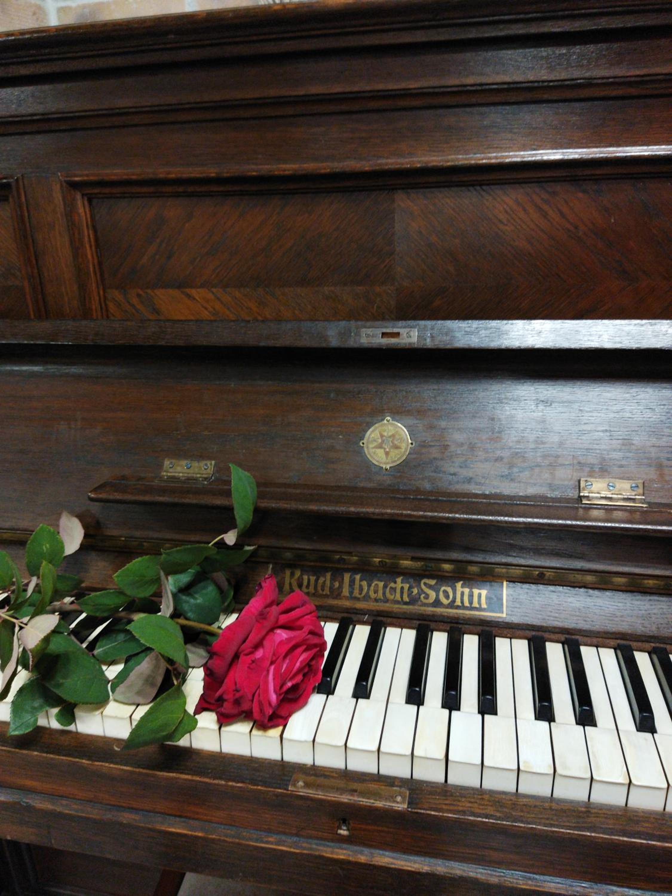 Photo 13