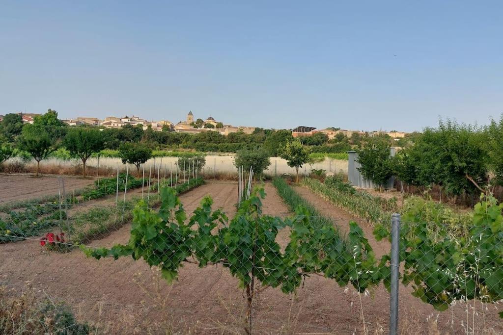 Casa Rural La Garnacha