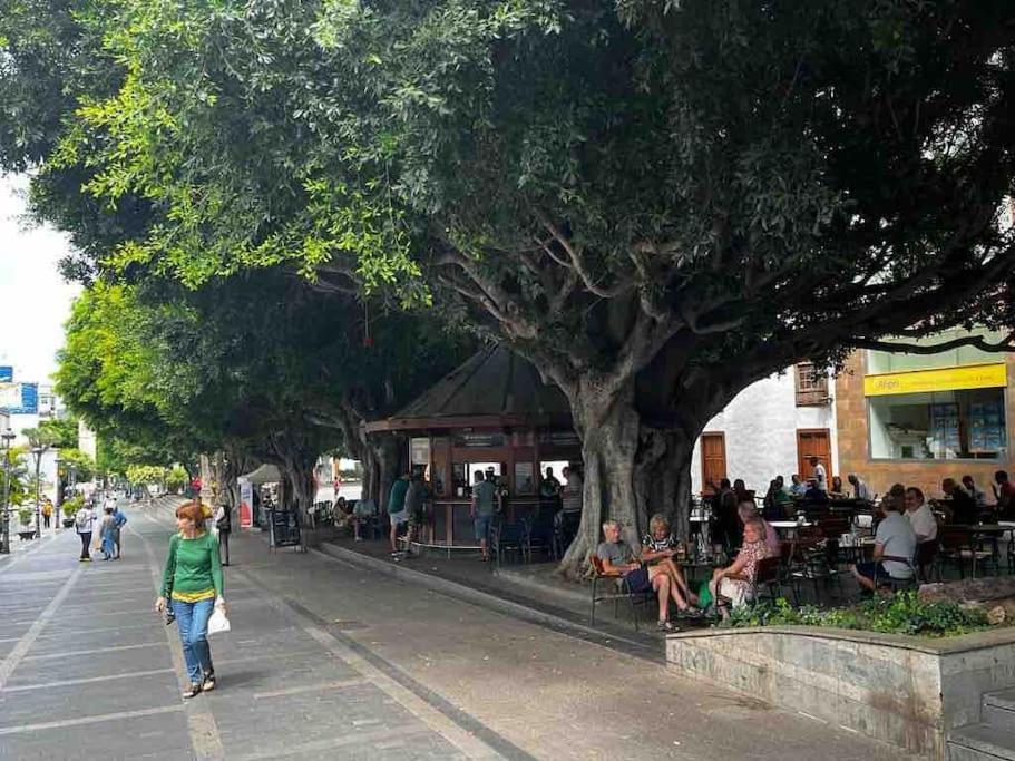 Casa Antika