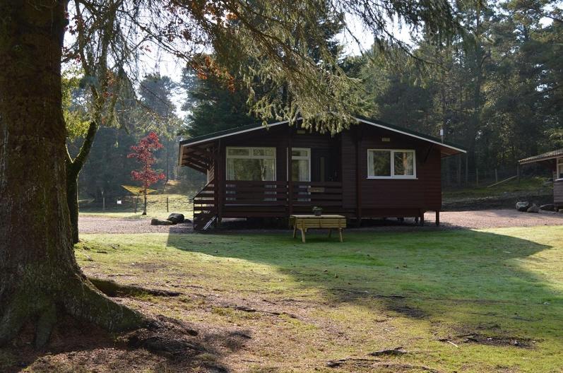 Reuben's Highland Retreat - Speyside view 4