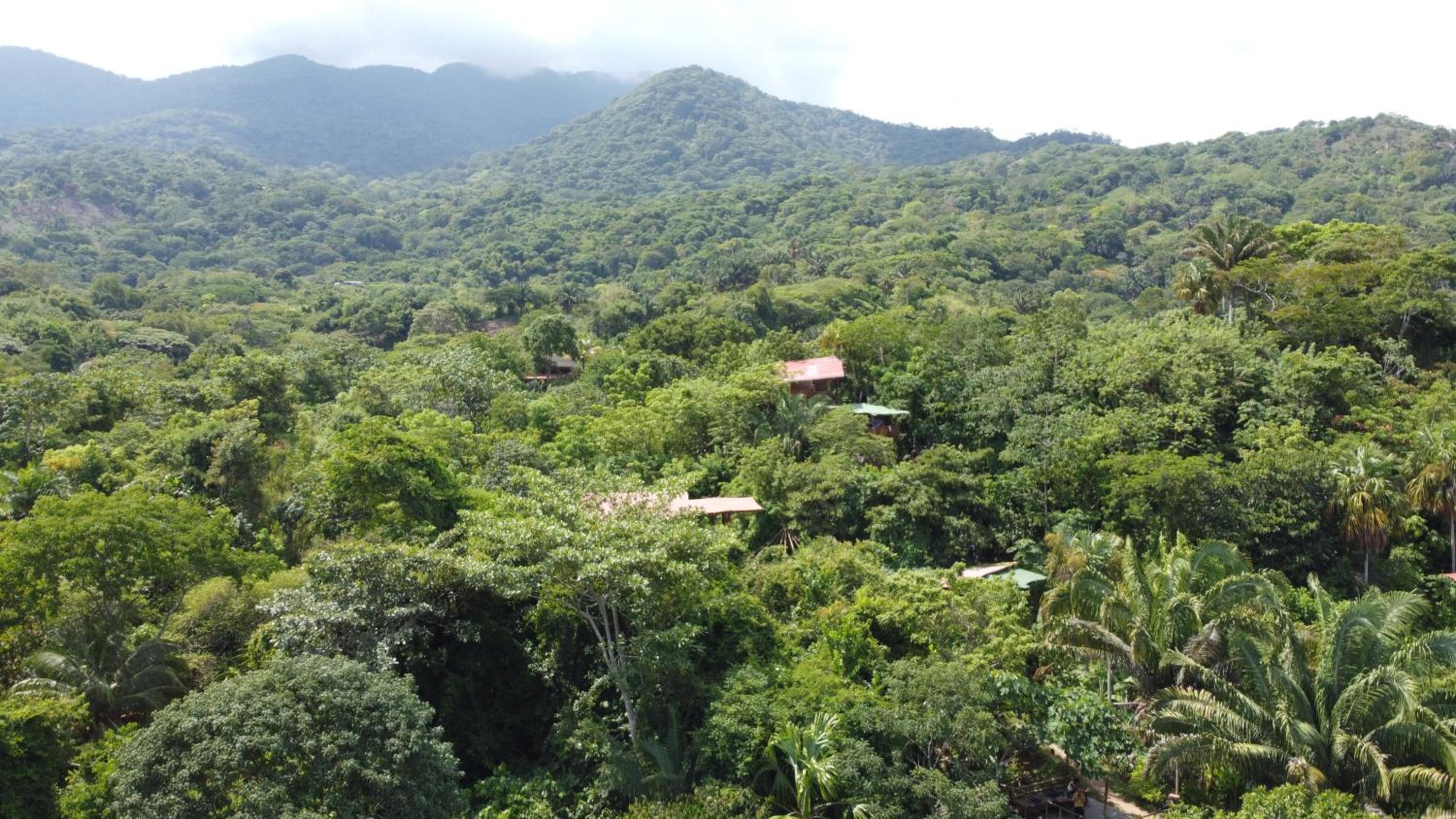 The Valley Tayrona hostel- A social jungle hostel