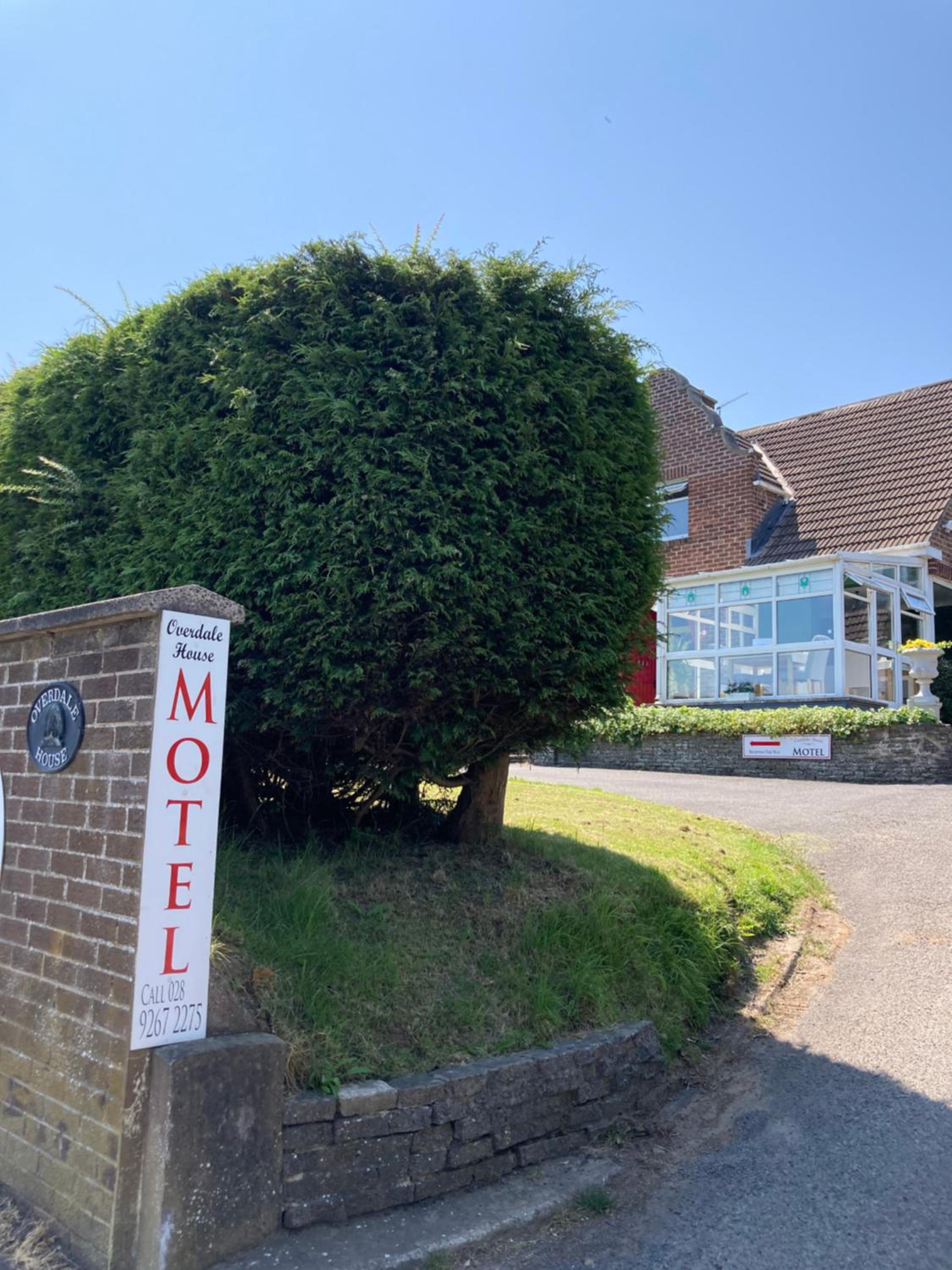Overdale Motel, photo 113