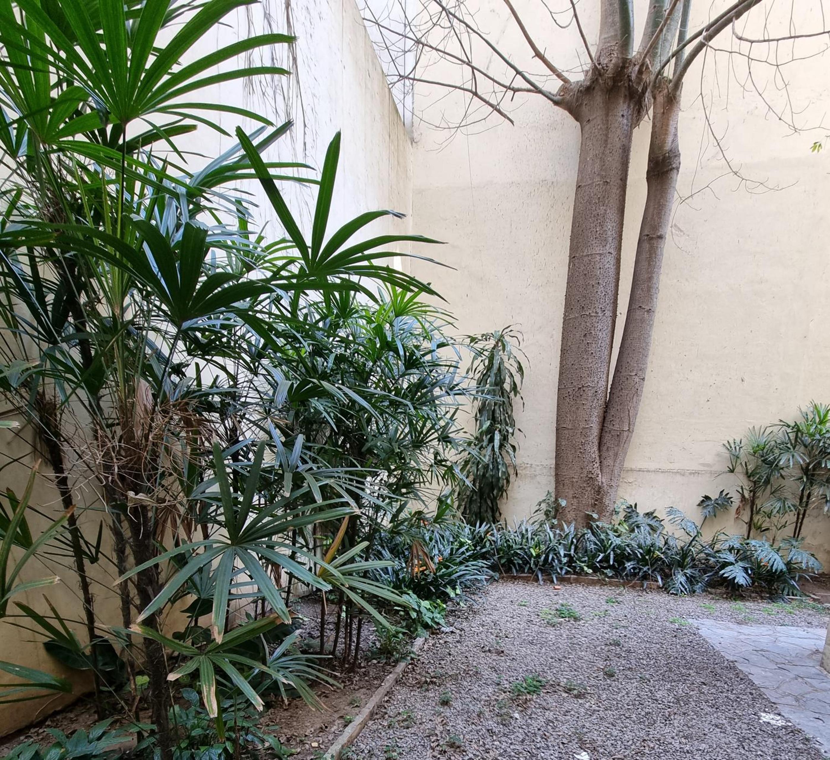 Cortázar Apartment