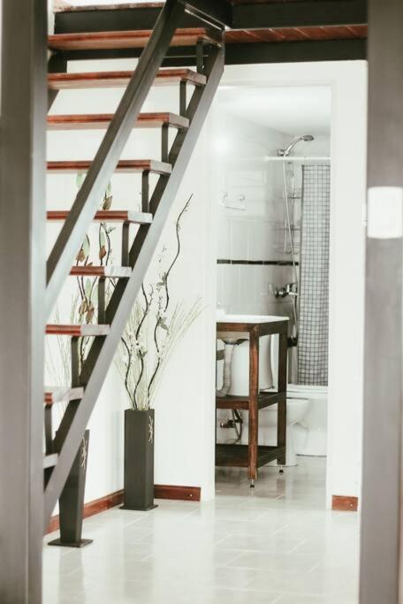 Casa Tipo Loft- Tigre Centro Con Jardin, Parrilla - 4 Personas