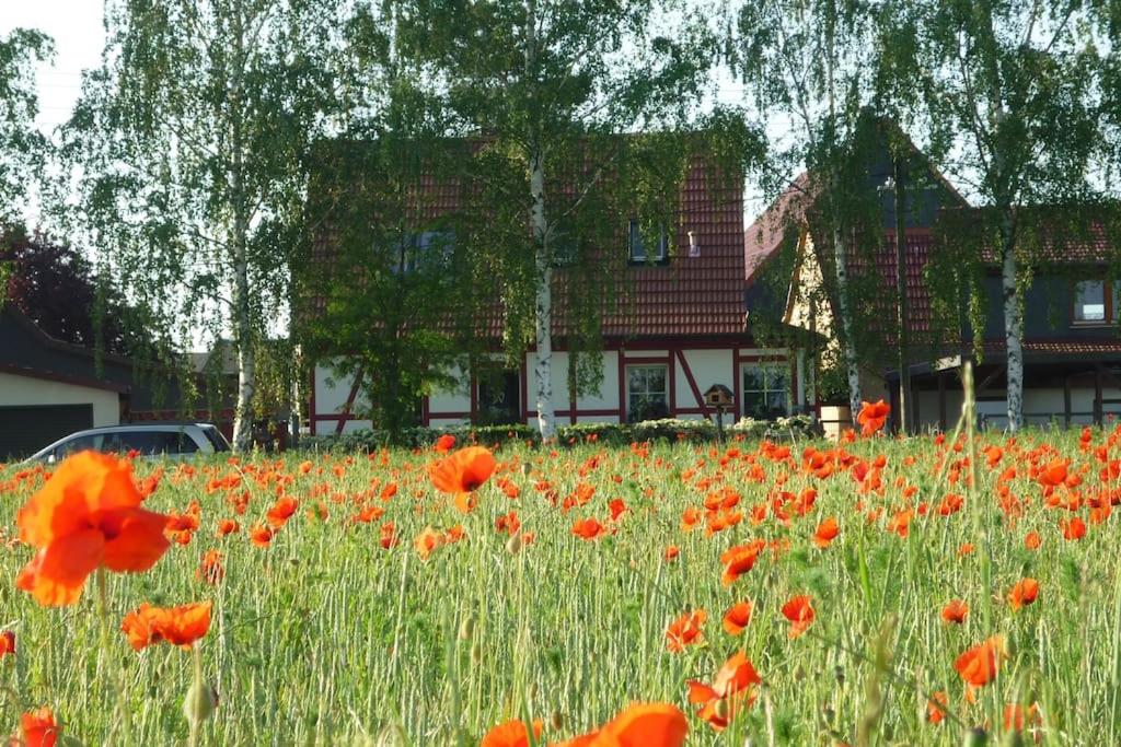 Erpelhaus in ländlicher Idylle mit Stadtnähe zu Erfurt und Weimar