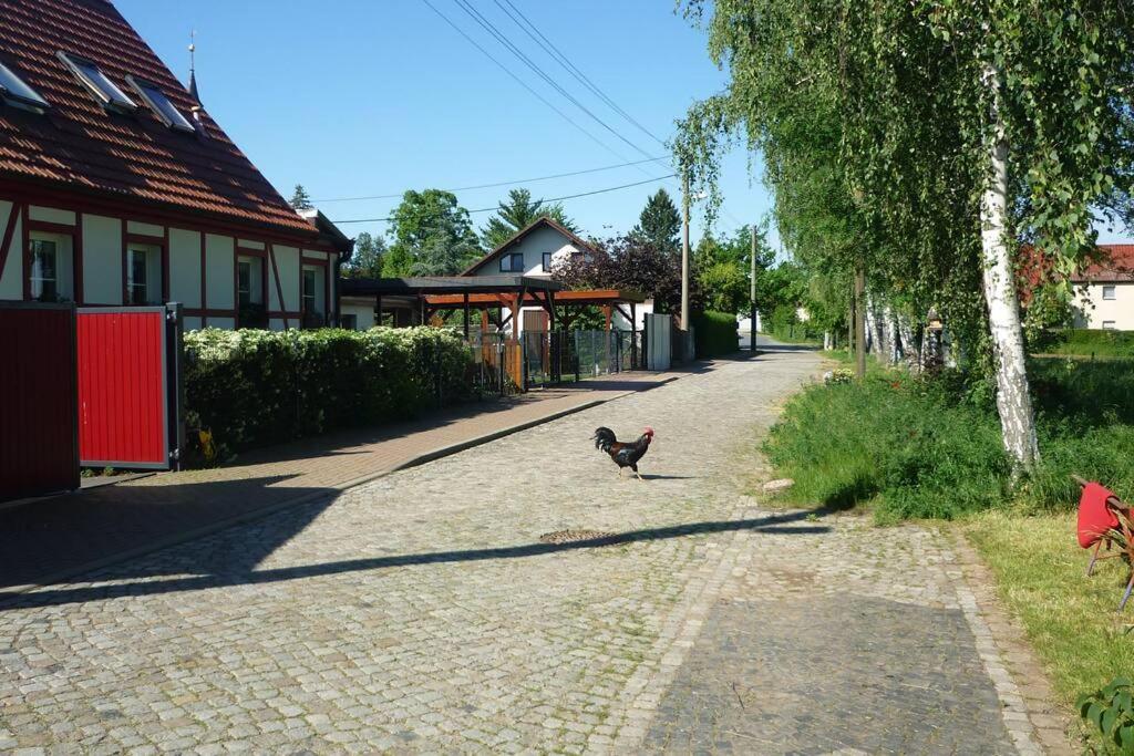 Erpelhaus in ländlicher Idylle mit Stadtnähe zu Erfurt und Weimar