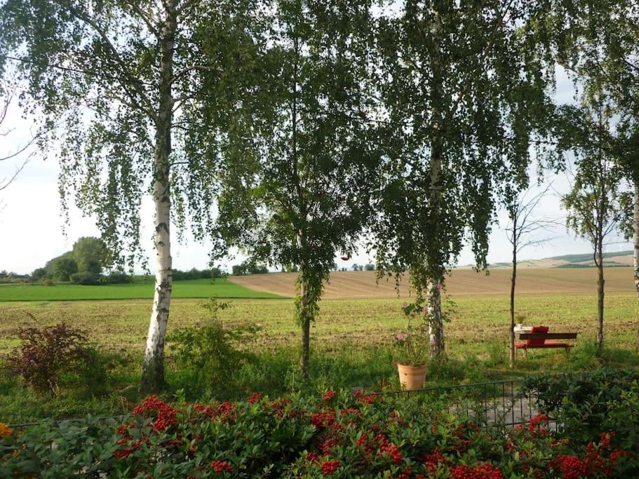 Erpelhaus in ländlicher Idylle mit Stadtnähe zu Erfurt und Weimar