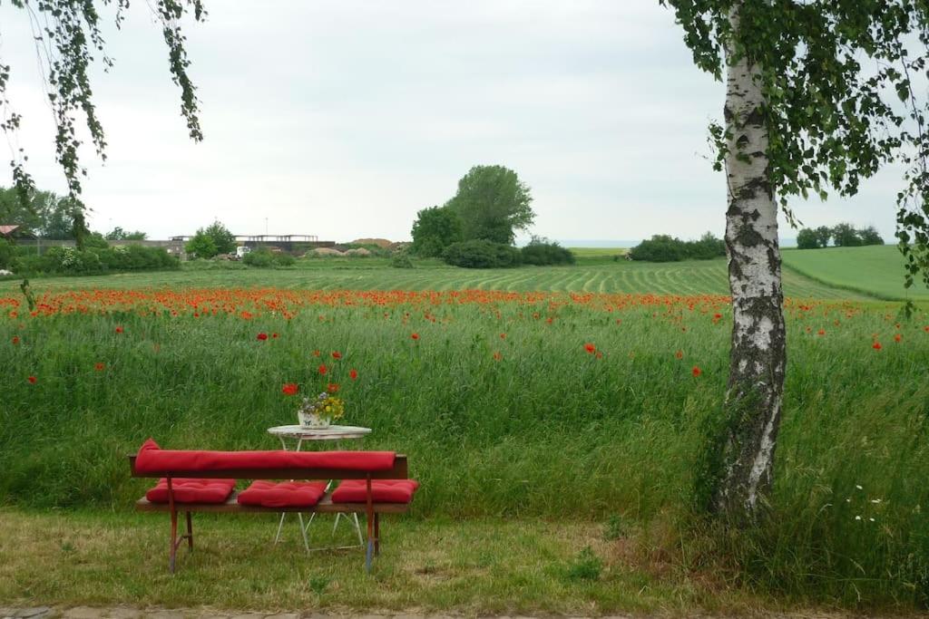 Erpelhaus in ländlicher Idylle mit Stadtnähe zu Erfurt und Weimar