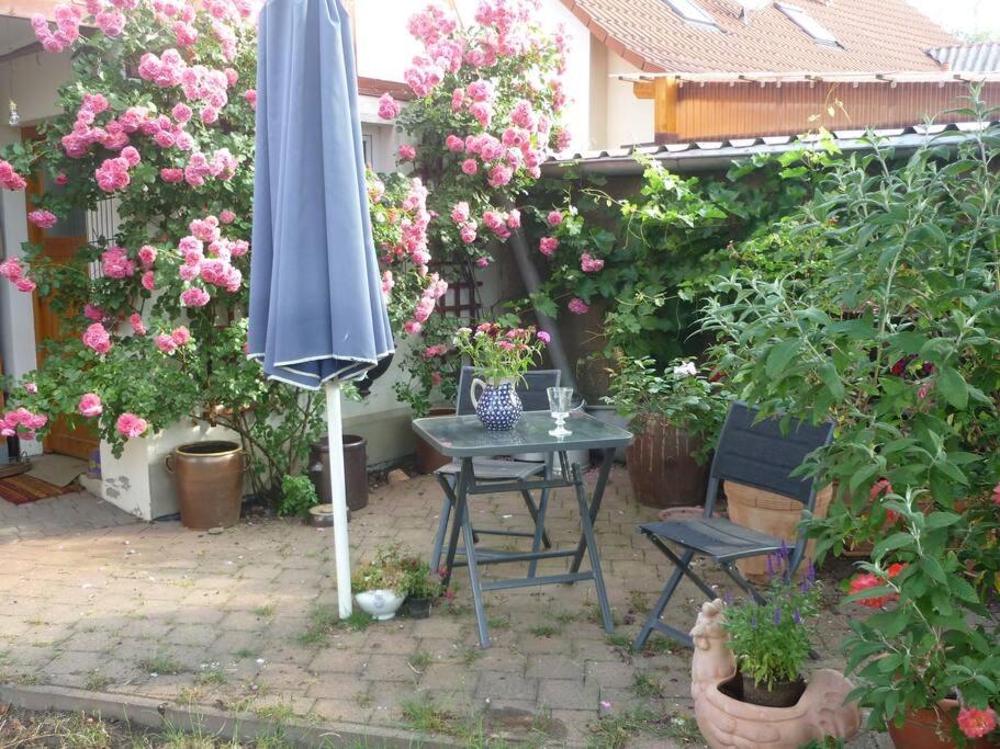 Erpelhaus in ländlicher Idylle mit Stadtnähe zu Erfurt und Weimar