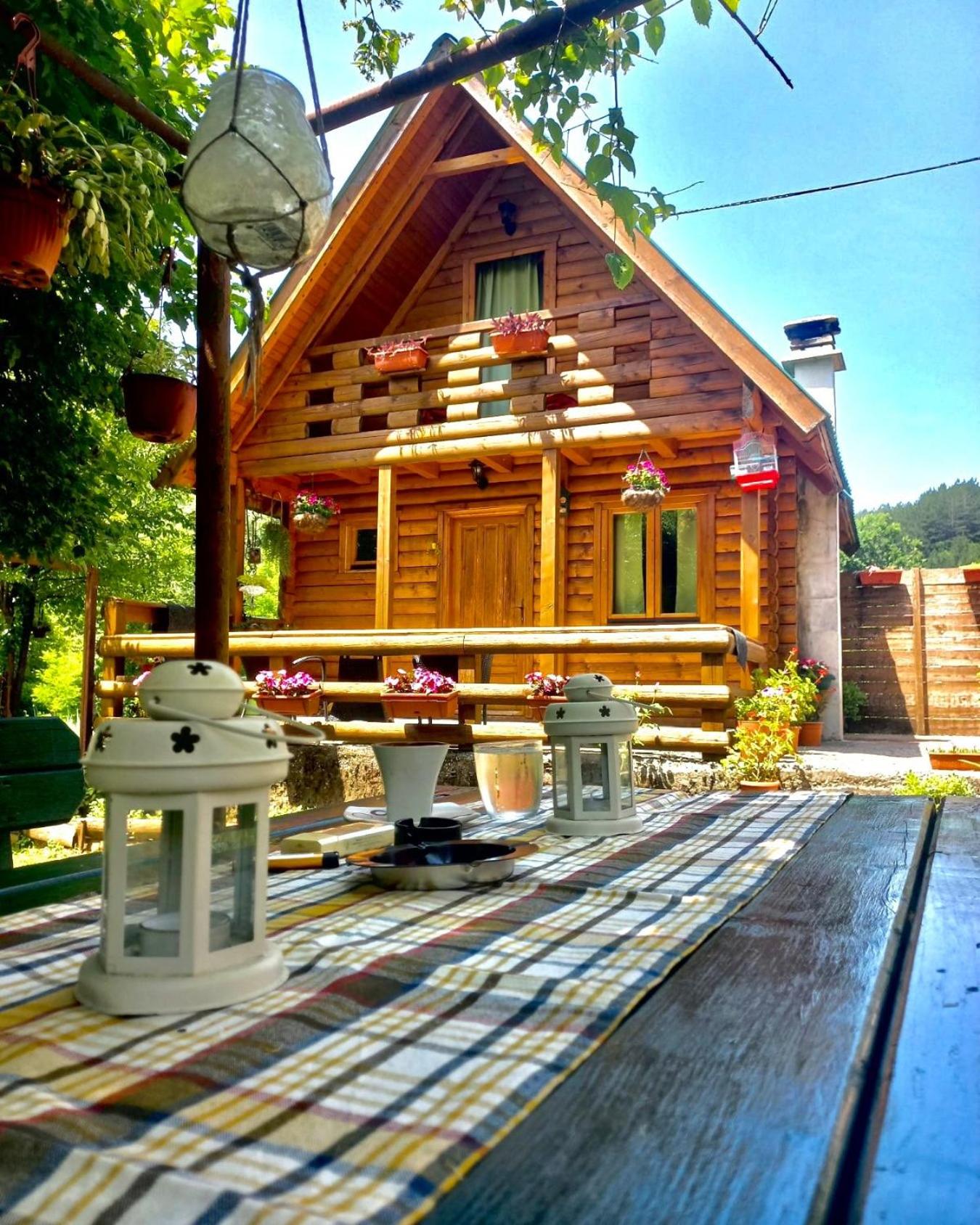 Brvnara Borovik view 2