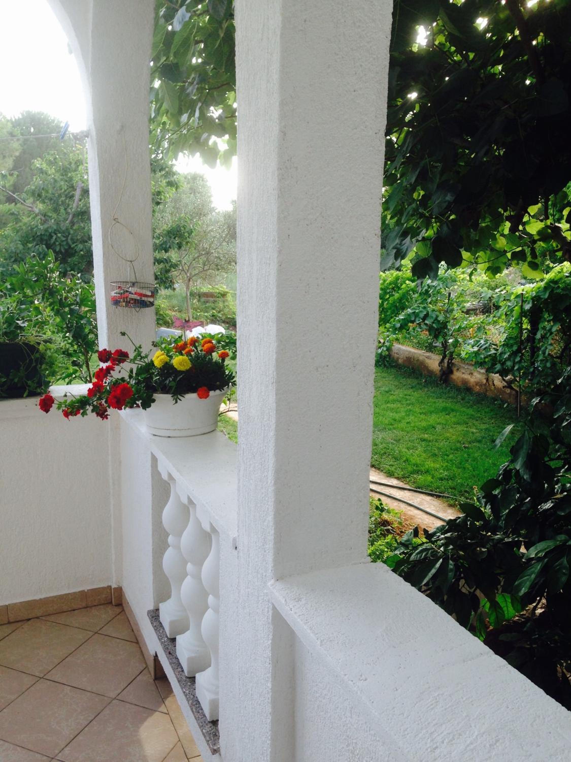 Photo 46