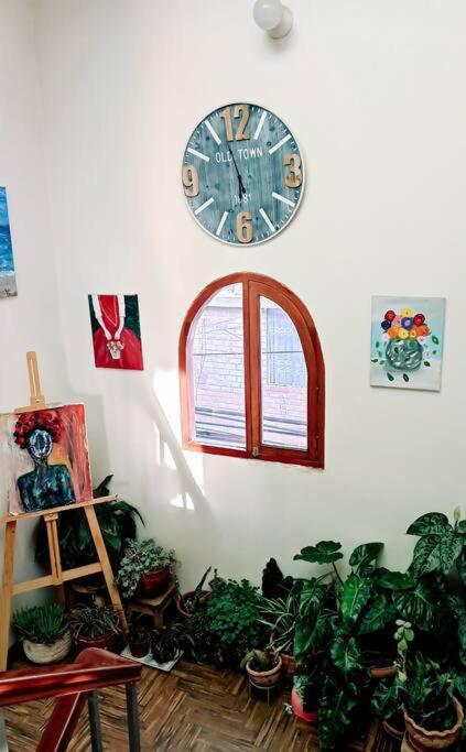 MINI DEPARTAMENTO independiente, privado y cómodo view 4