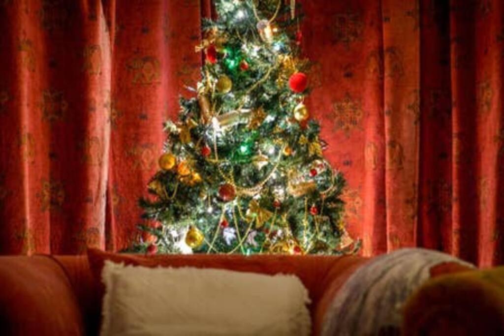 Photo 7