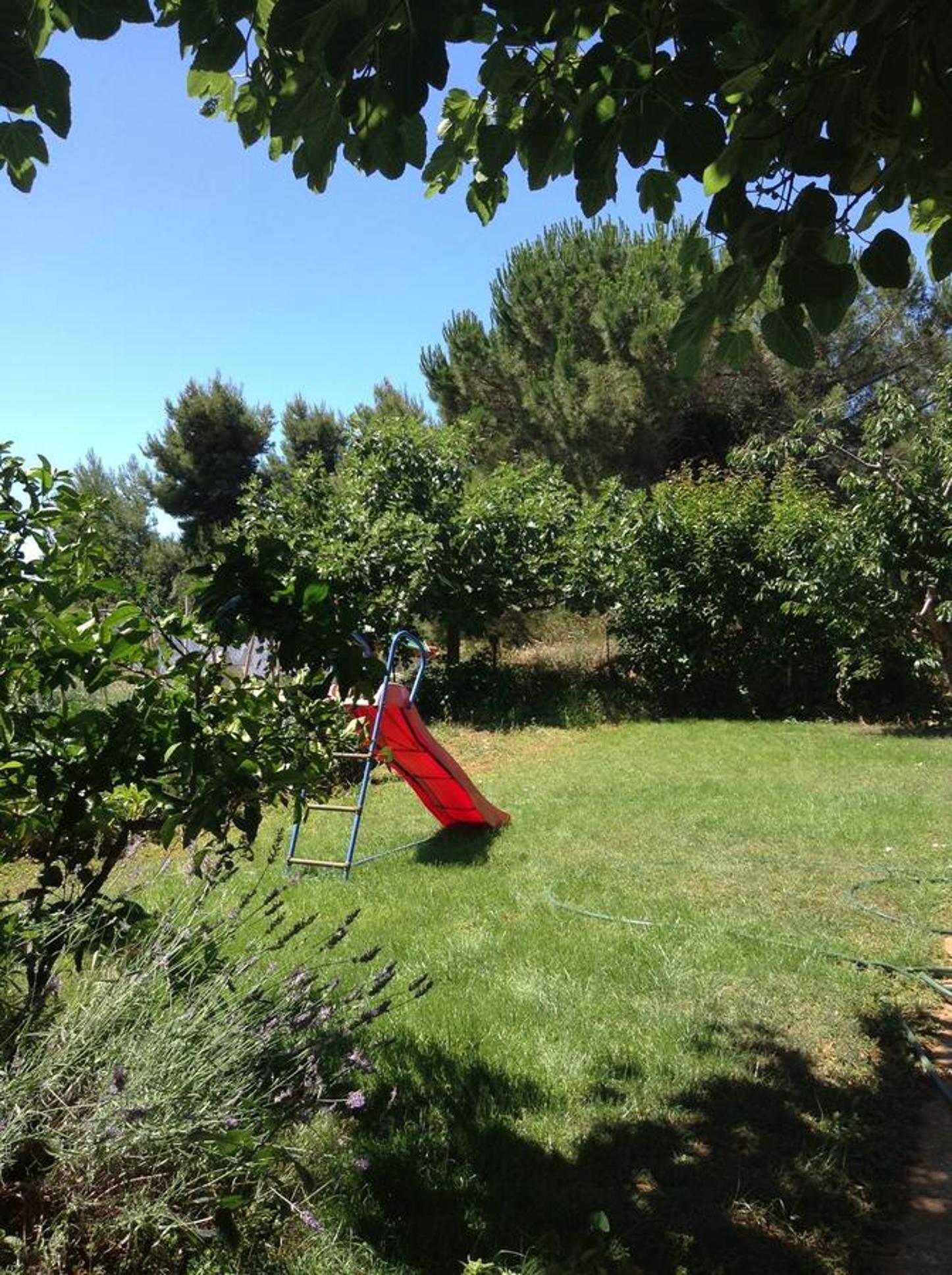 Photo 43