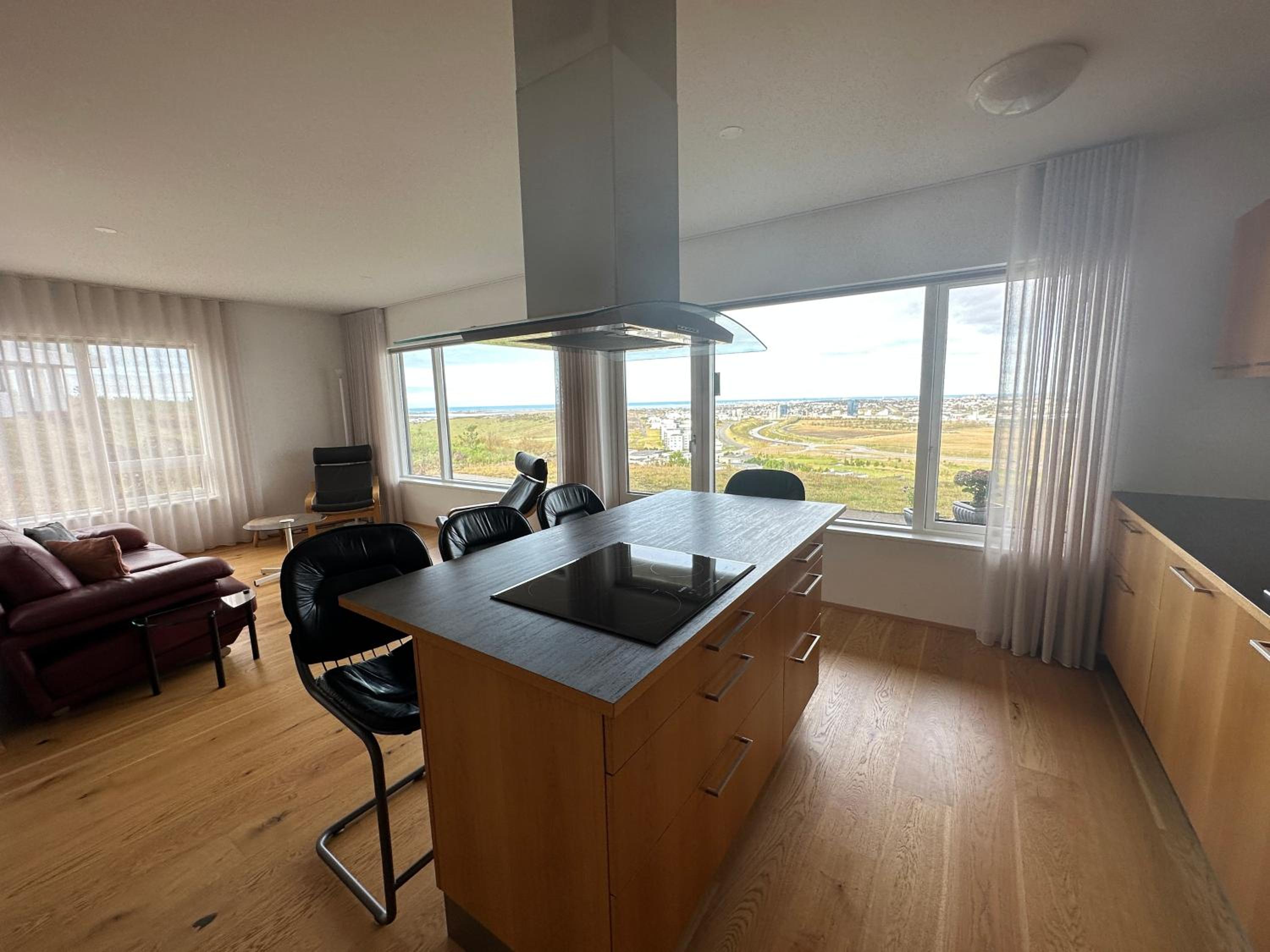 Apartment in Austurkór- Birta Rentals view 3