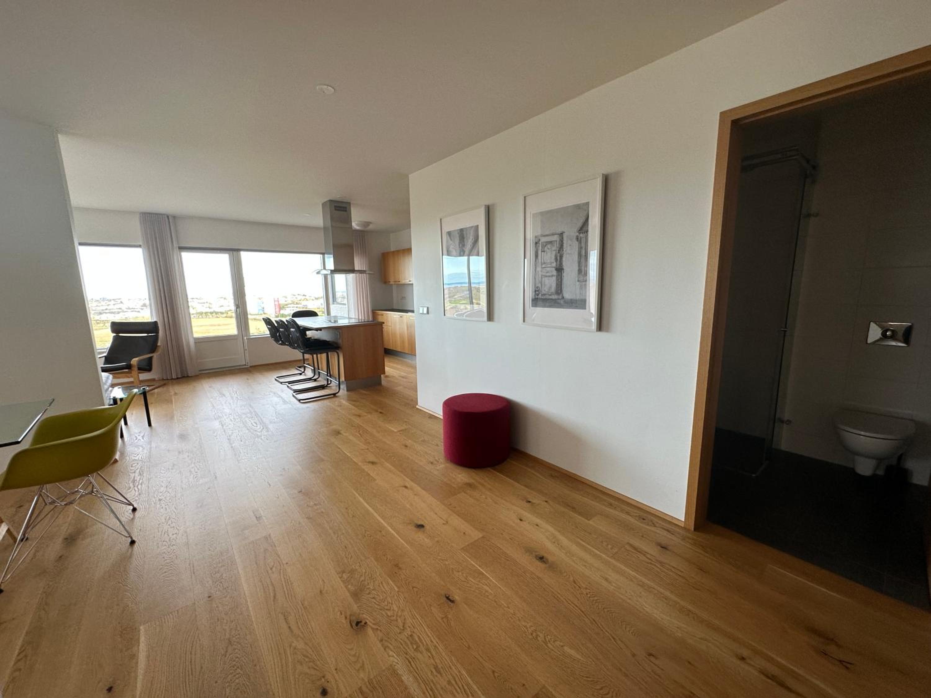 Apartment in Austurkór- Birta Rentals view 5