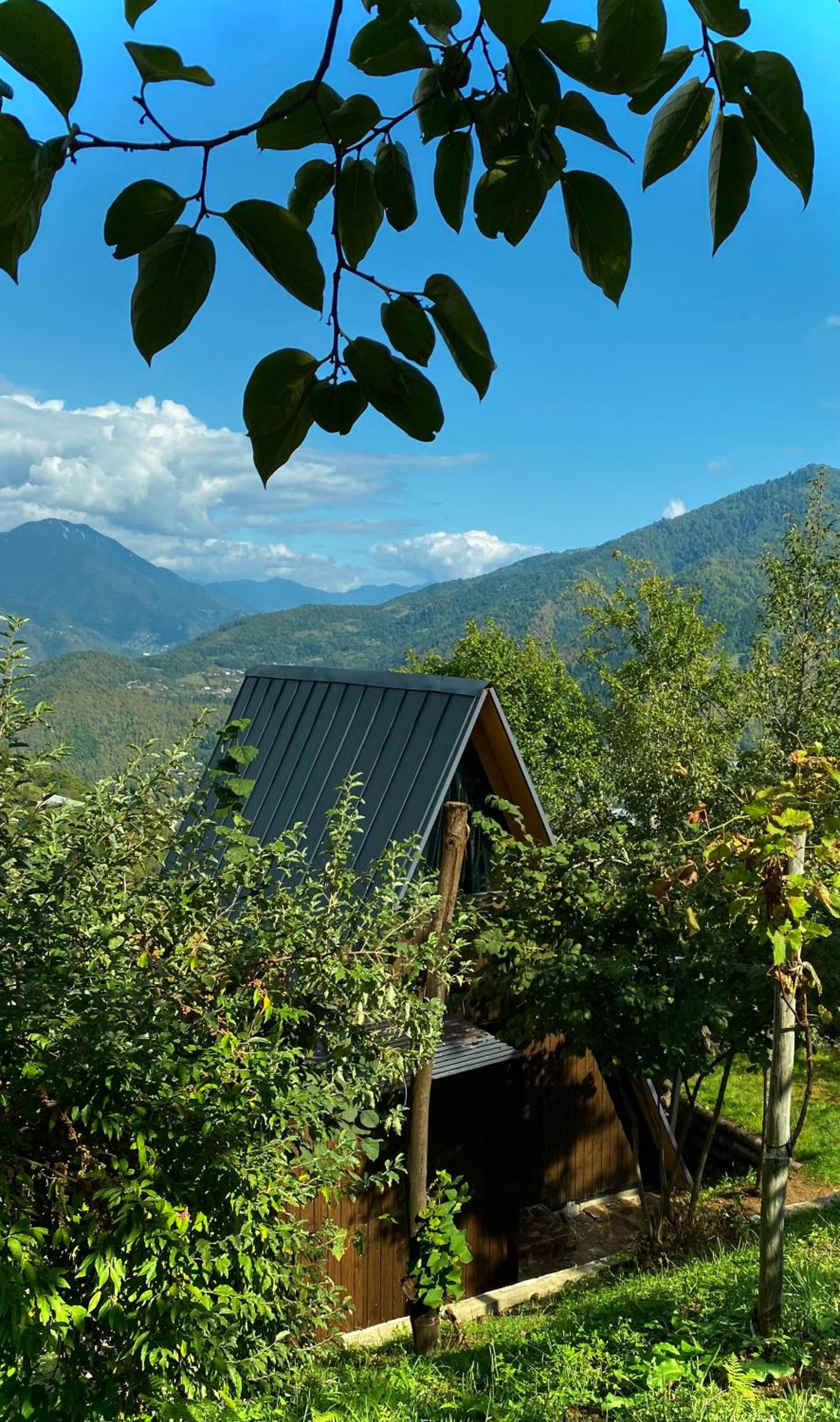 HillSide Cottage-ჰილსაიდ კოტეჯი