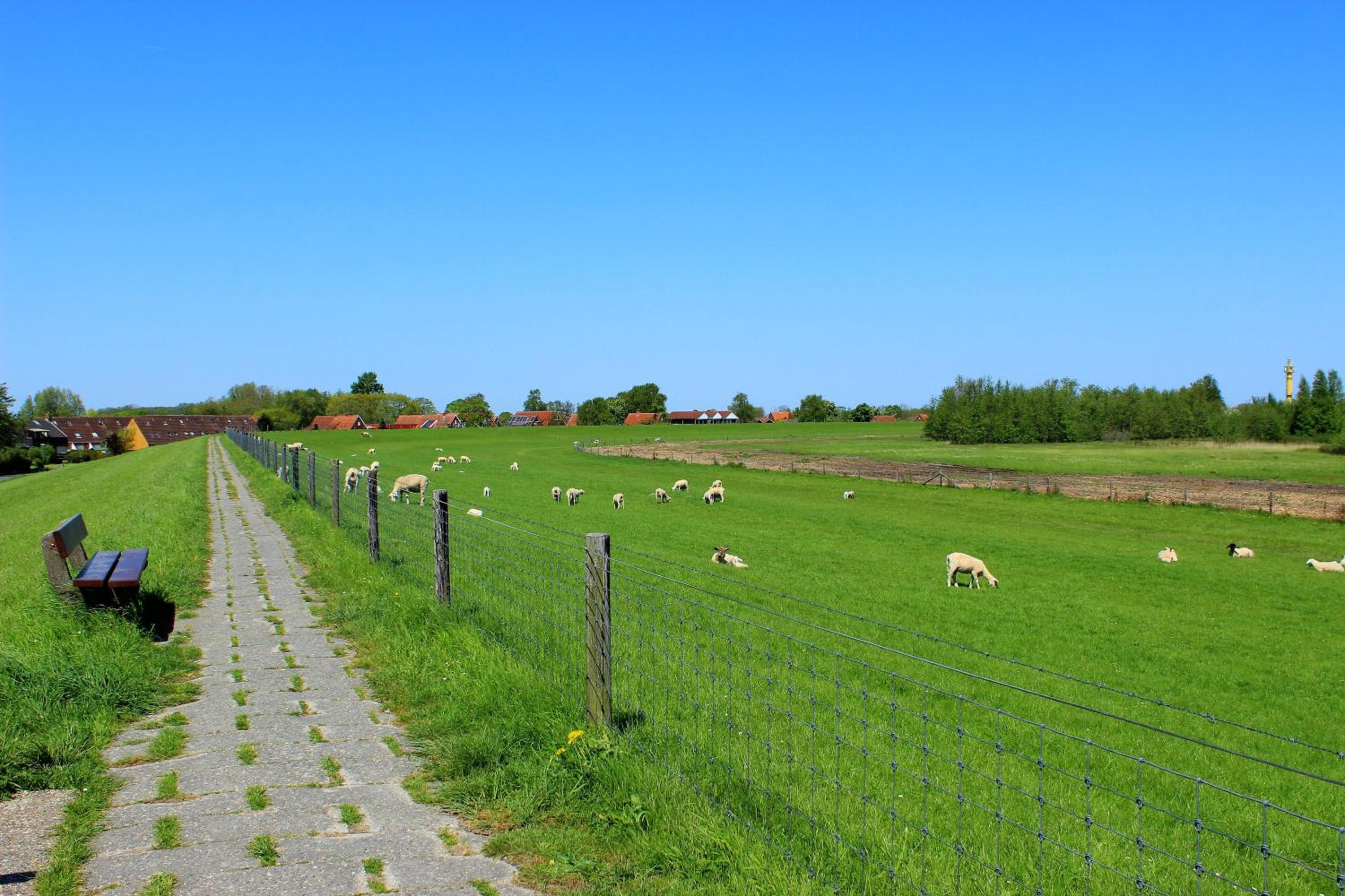 Ferienwohnung Urlaubsschmiede 5 in Horumersiel Schillig an der Nordsee