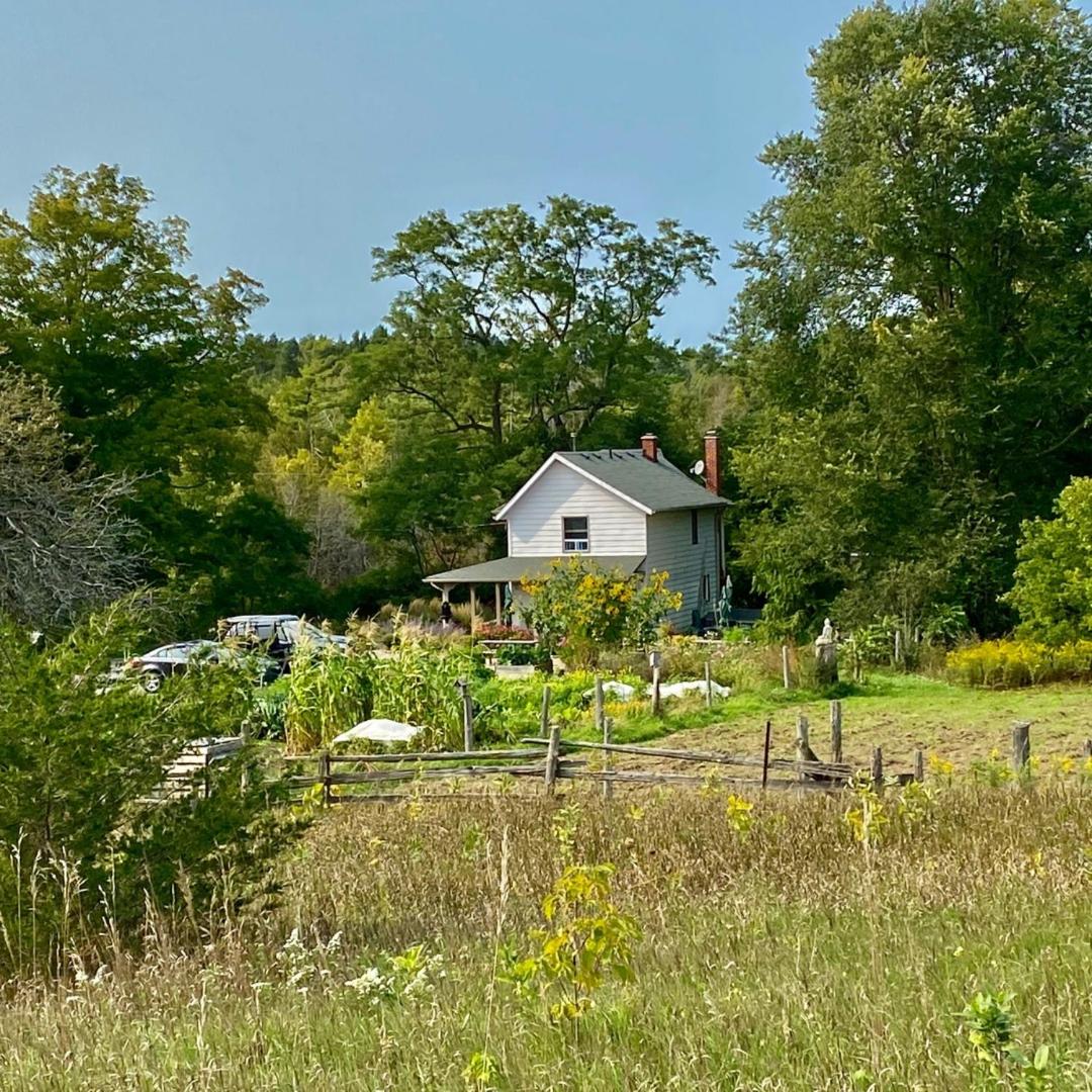 Fells Meadows Farmhouse on Country Property