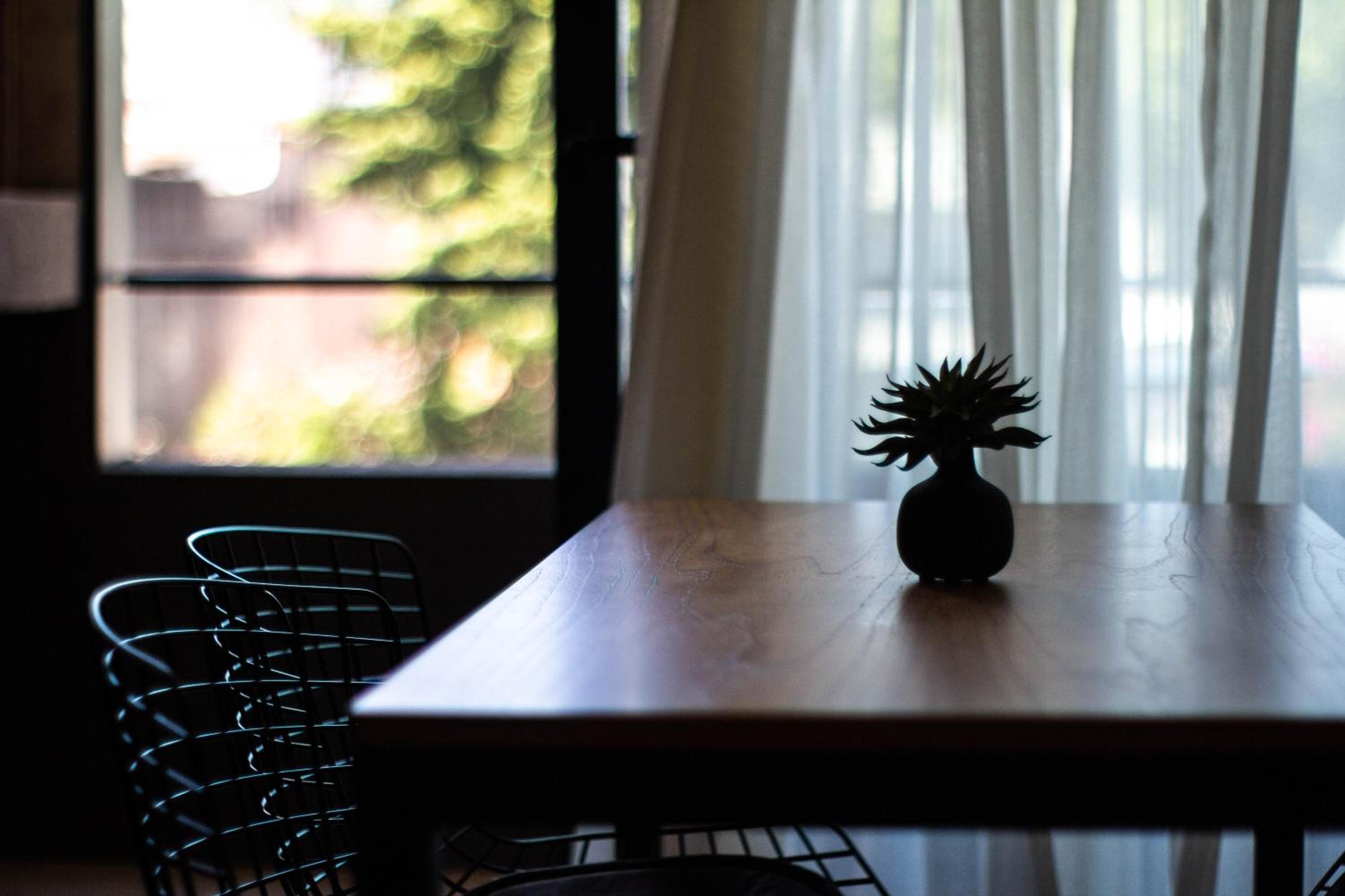 Cozy Ultra light Studio in Palermo Hollywood -C3D-