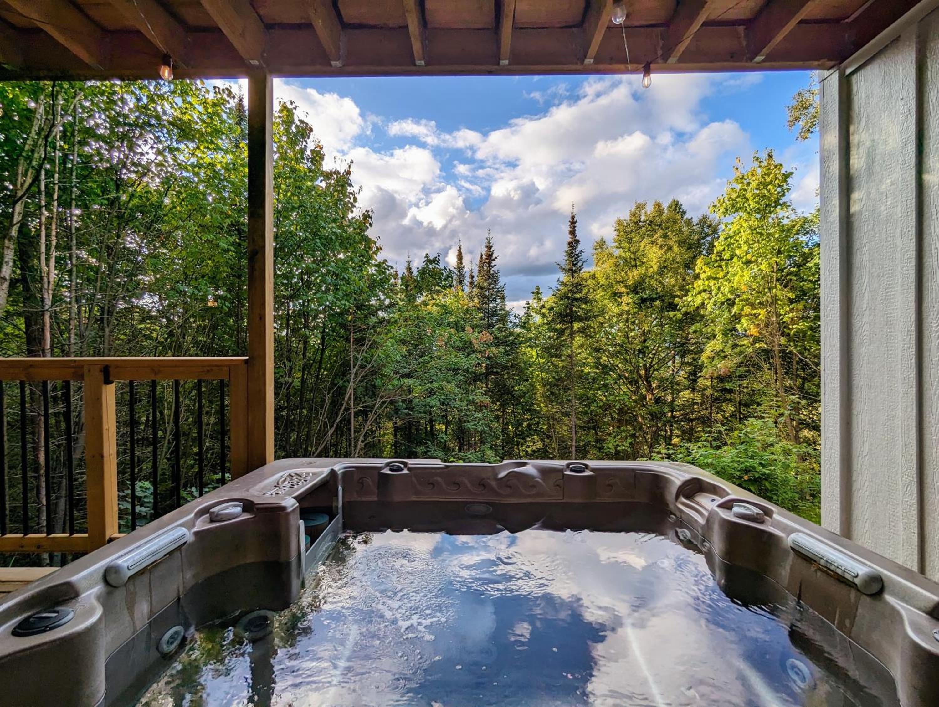 Ski in Tremblant & Mont Blanc - Views, Spa and Pool table