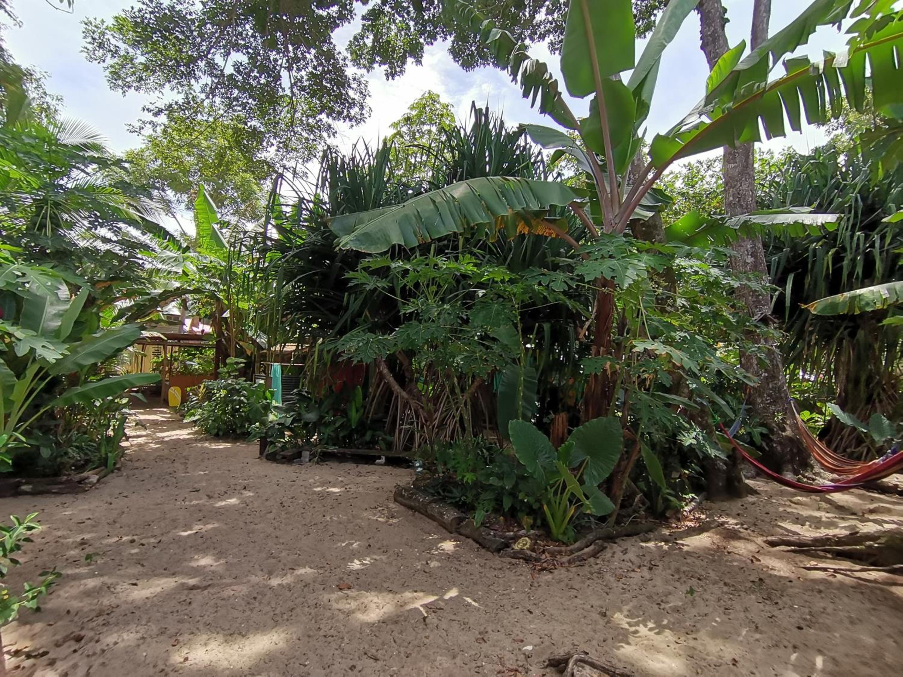 Oasis Beachfront Hostel