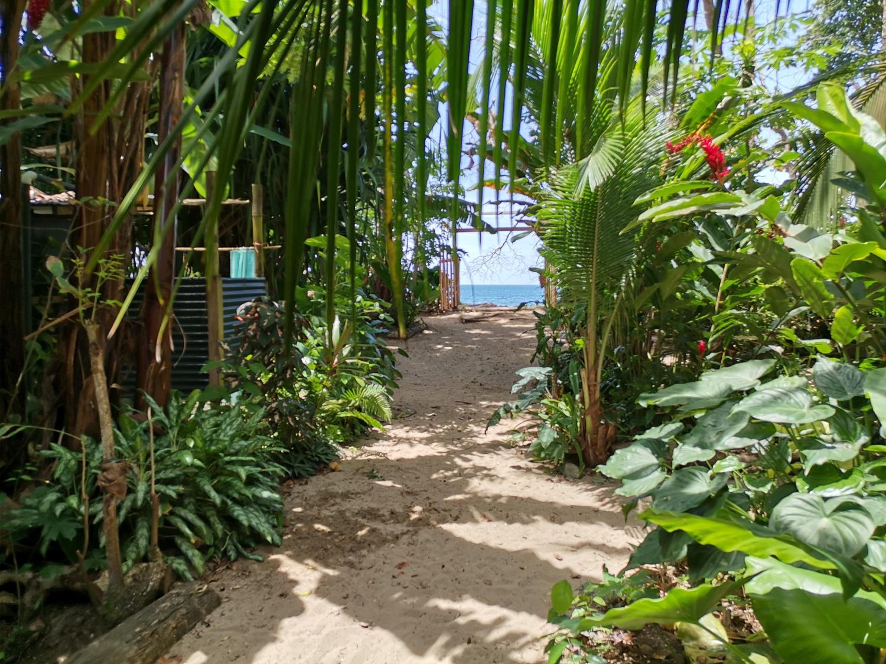 Oasis Beachfront Hostel