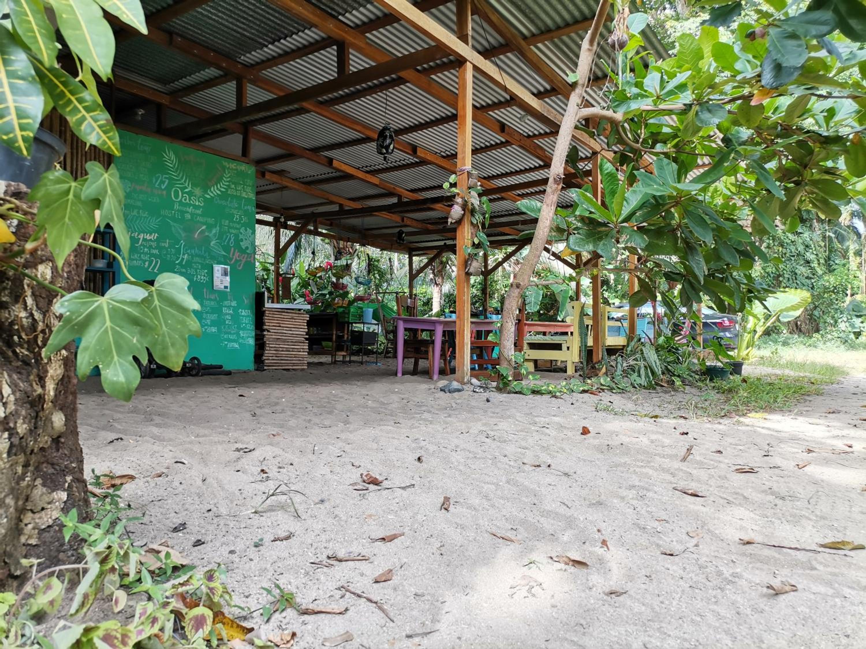 Oasis Beachfront Hostel