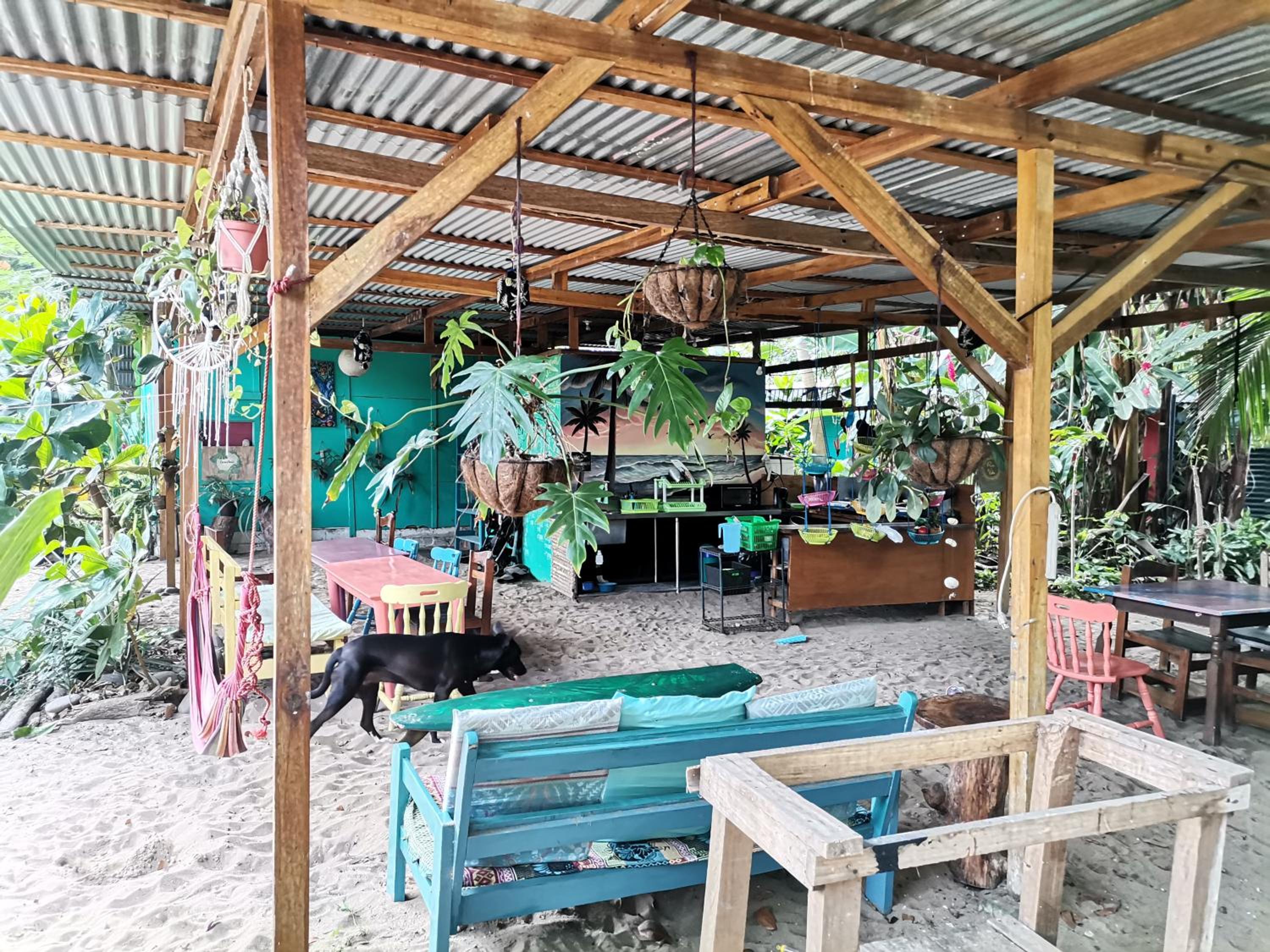 Oasis Beachfront Hostel