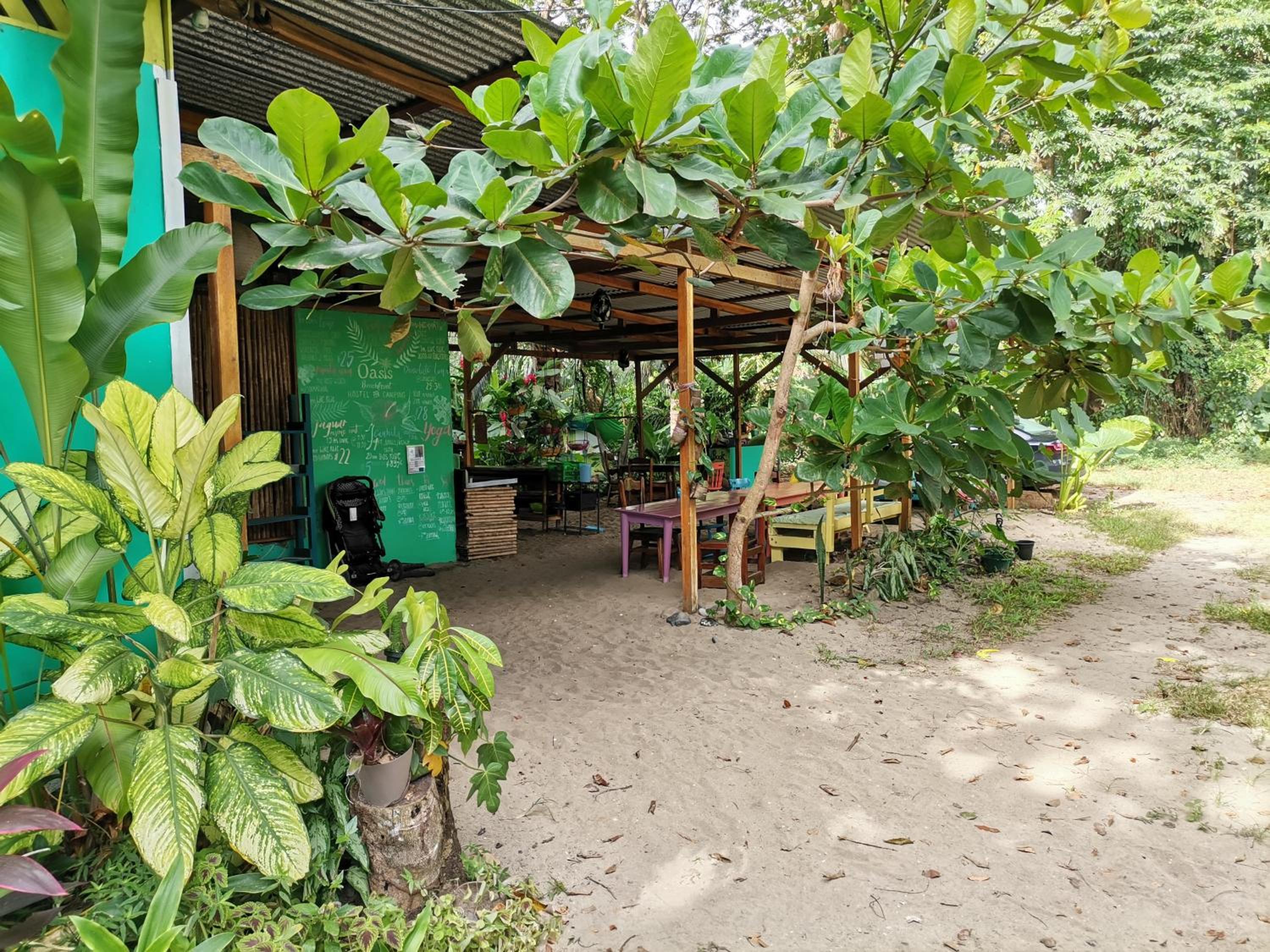 Oasis Beachfront Hostel
