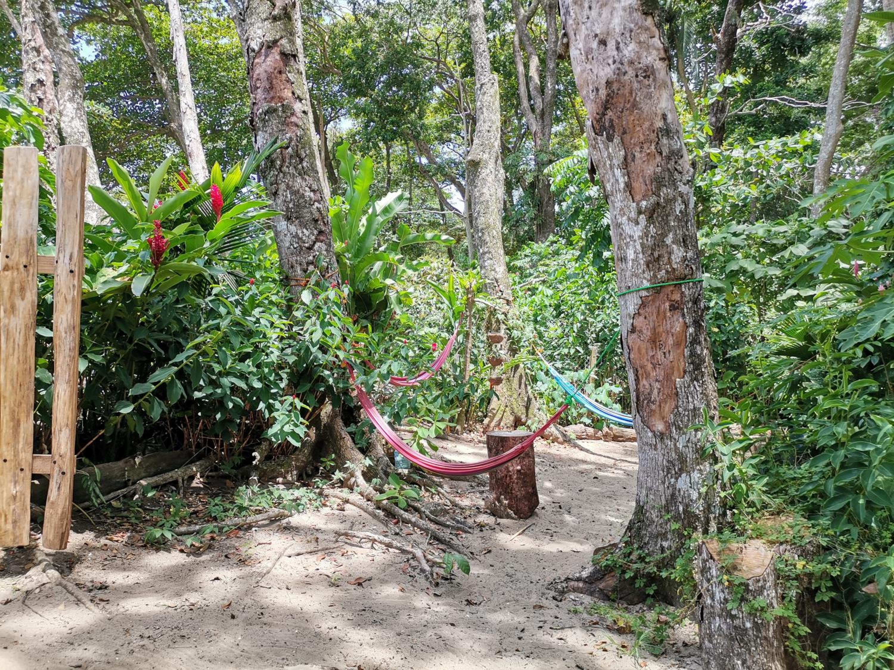 Oasis Beachfront Hostel