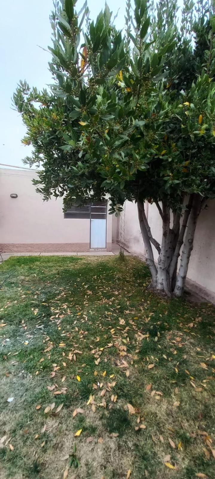 La Esquina 2