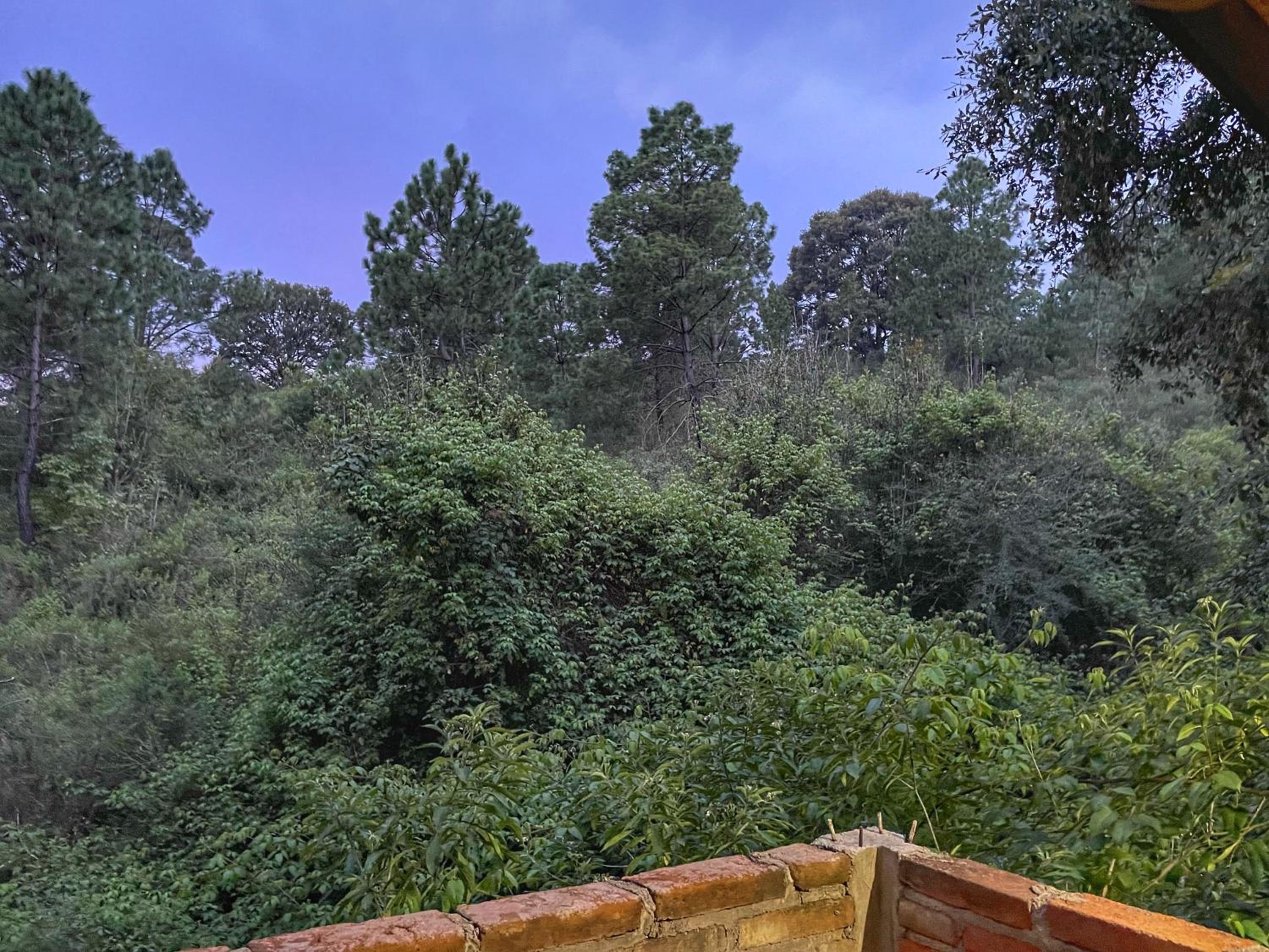 Cabaña en bosque de Mazamitla,Jalisco
