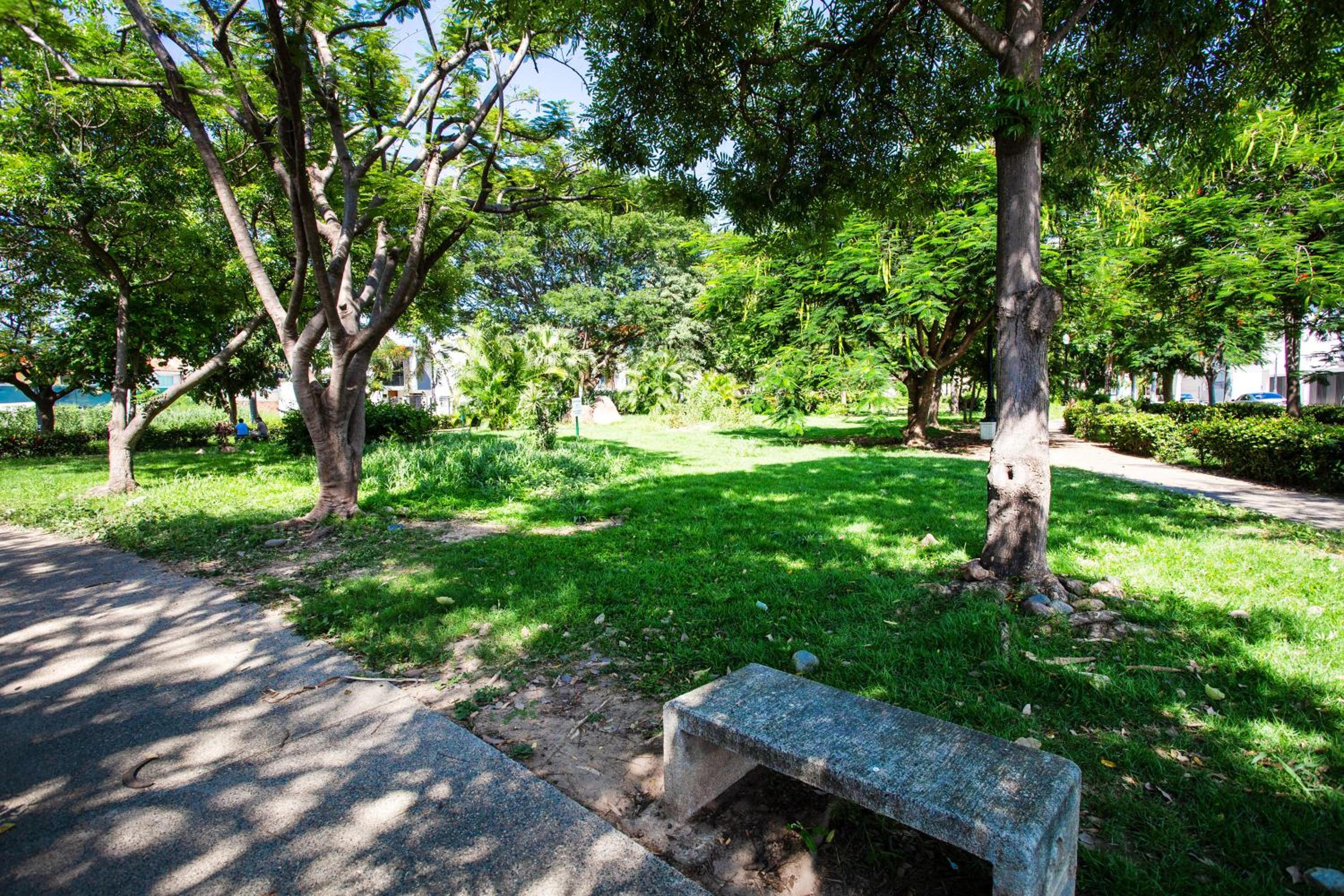 Photo 46