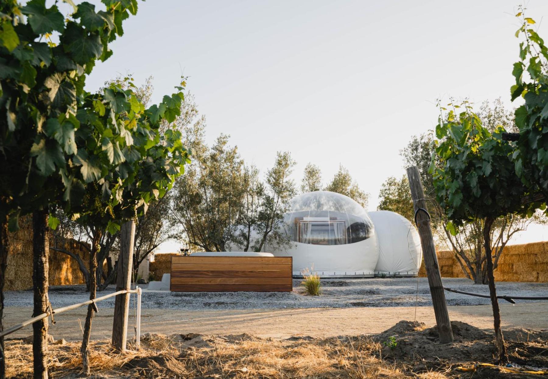 Ensenada Vacations - Bubble Supreme 13 with Jacuzzi Campera Hotel Burbuja - Property Image 1