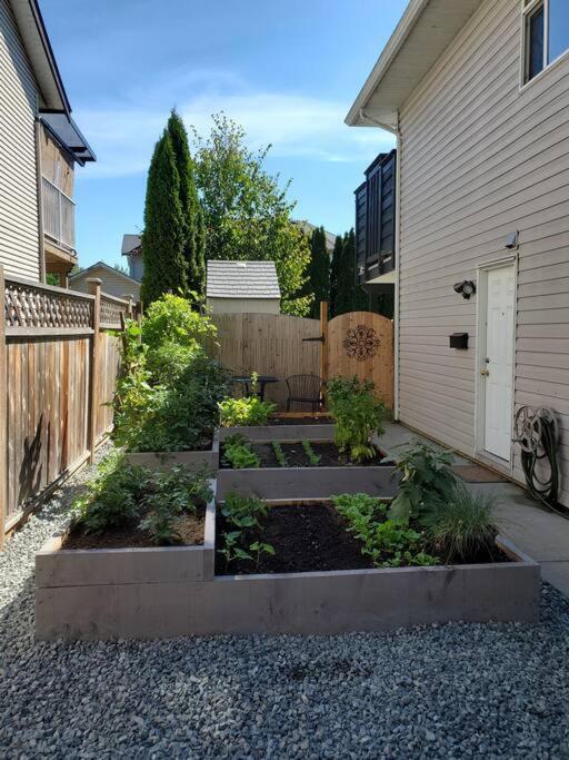 Private & cozy ground level suite in quiet area