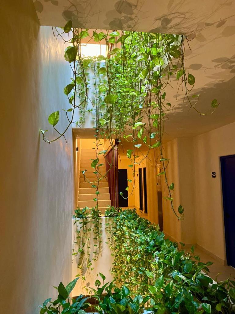 Holbox apartment