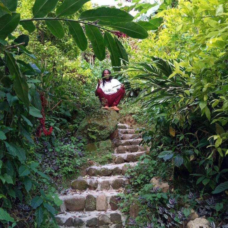 Berkey's Jungle Paradise Resort
