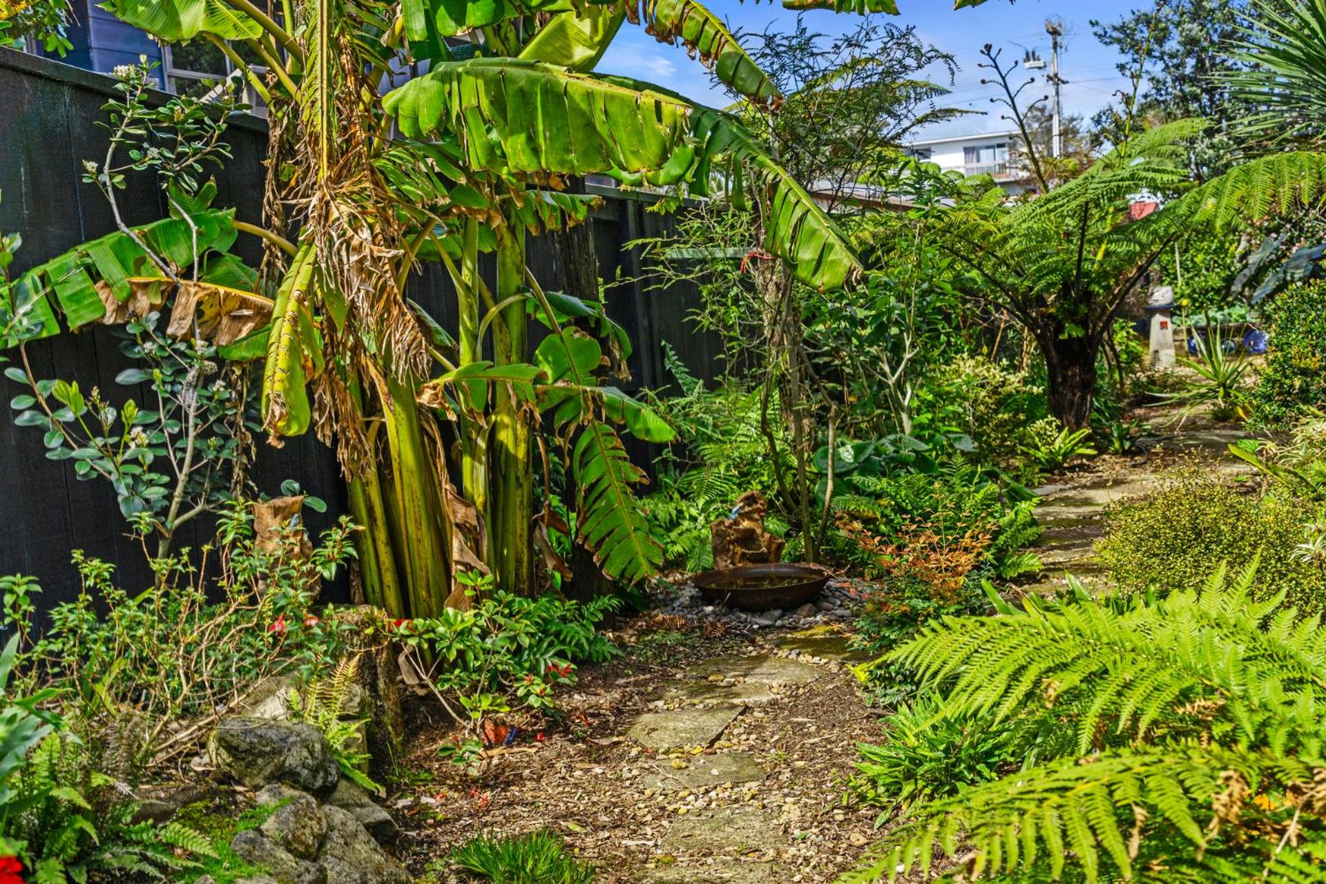 Coastal Oasis - Papamoa Beach Holiday Home view 2