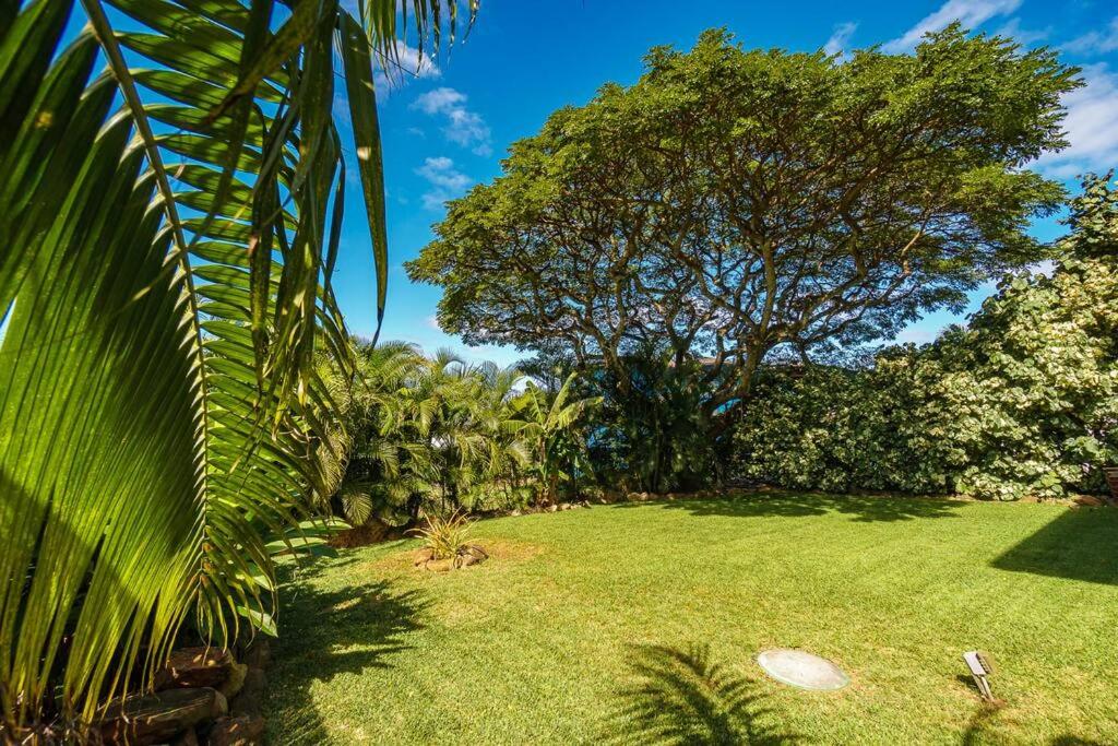 Walk Minutes to beach/Ocean views/with AC/Waimea Bay view 2