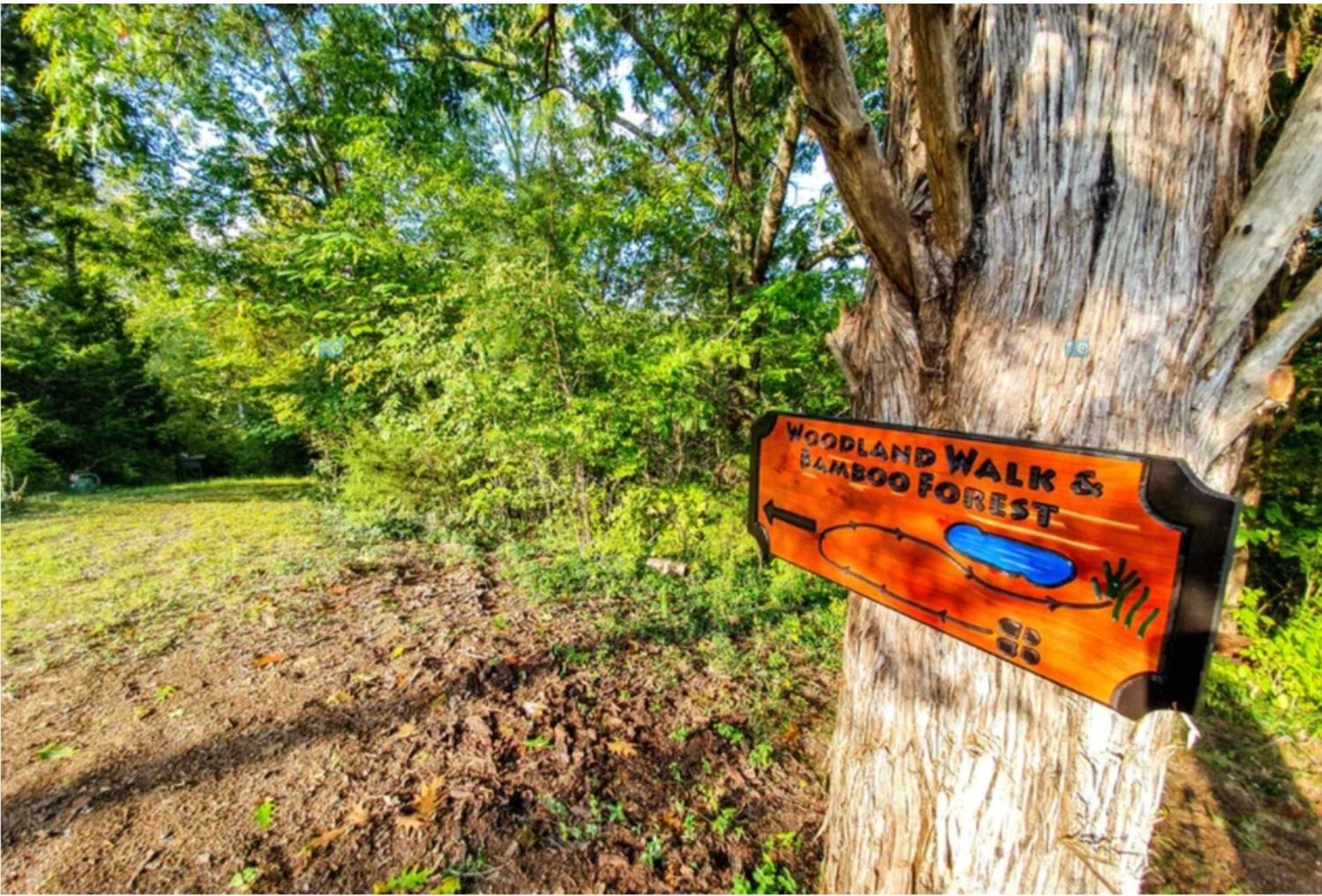 Haleywood, Private 125 acres on Lake Douglas with 2 cabins, Seasonal Pool, Boat Dock, Free Ticket!