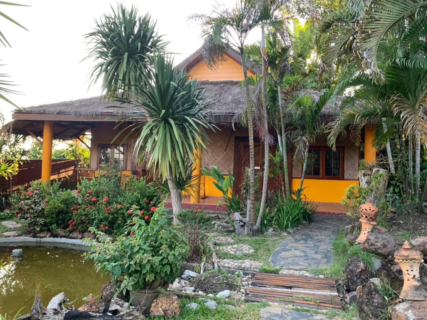 Old Tree's House