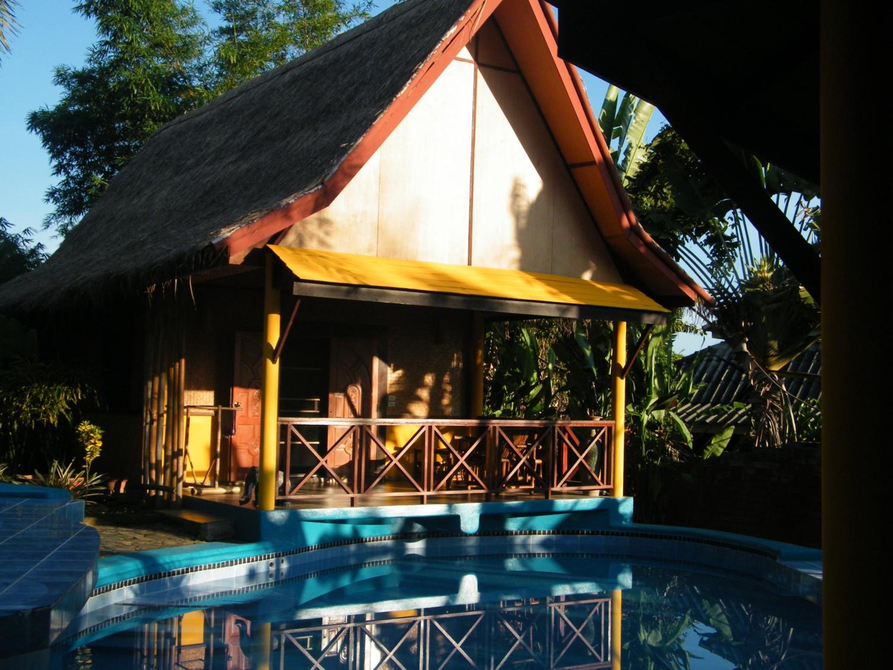 Old Tree's House