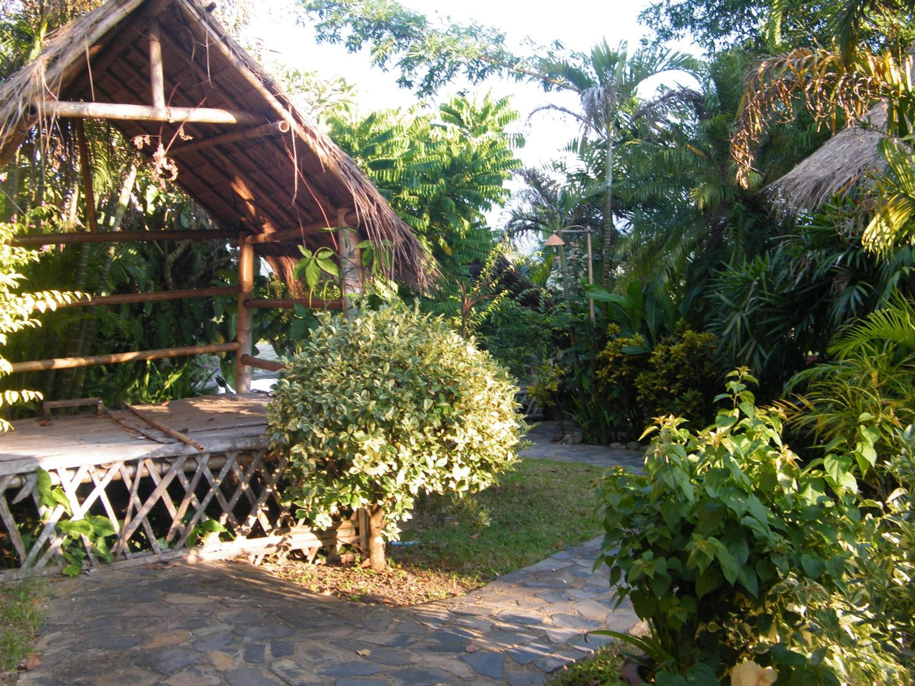 Old Tree's House