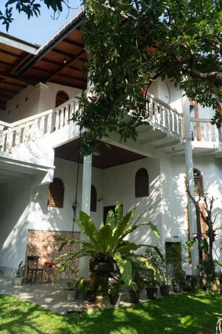 Unawatuna Villa Bird Nest view 3