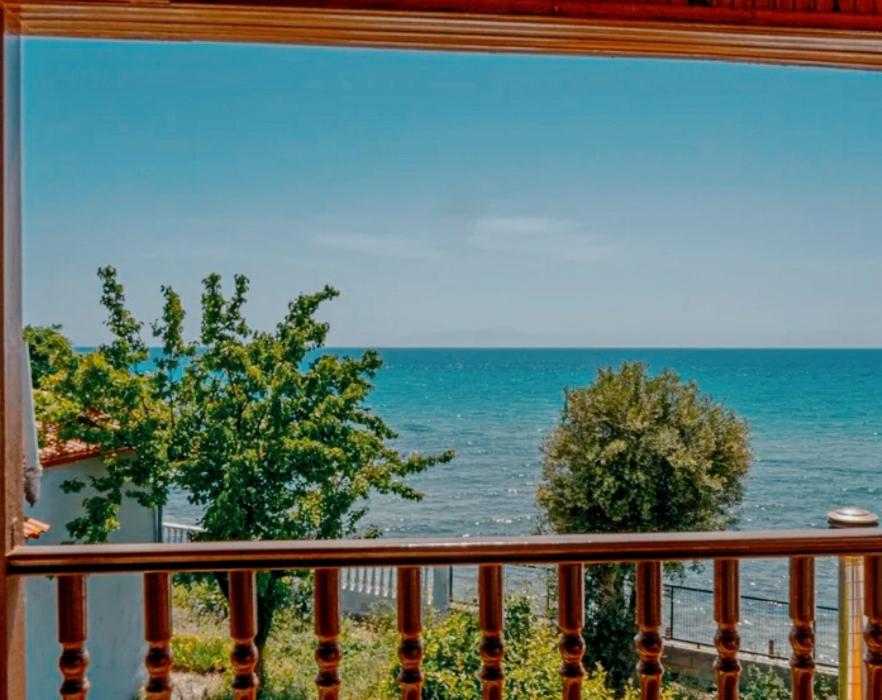 Dolphin Paradise Sozopoli
