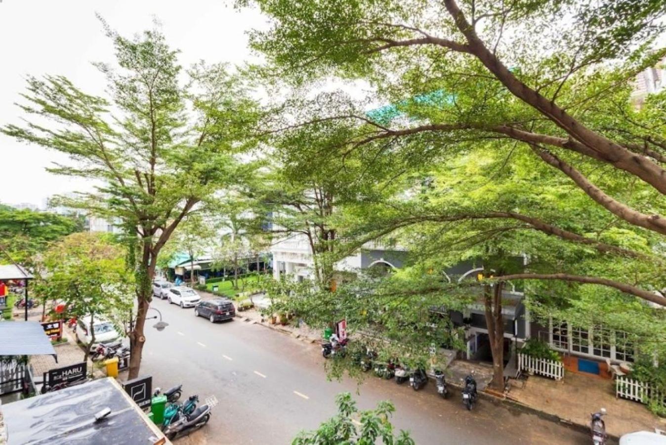 PINE TREE Apt