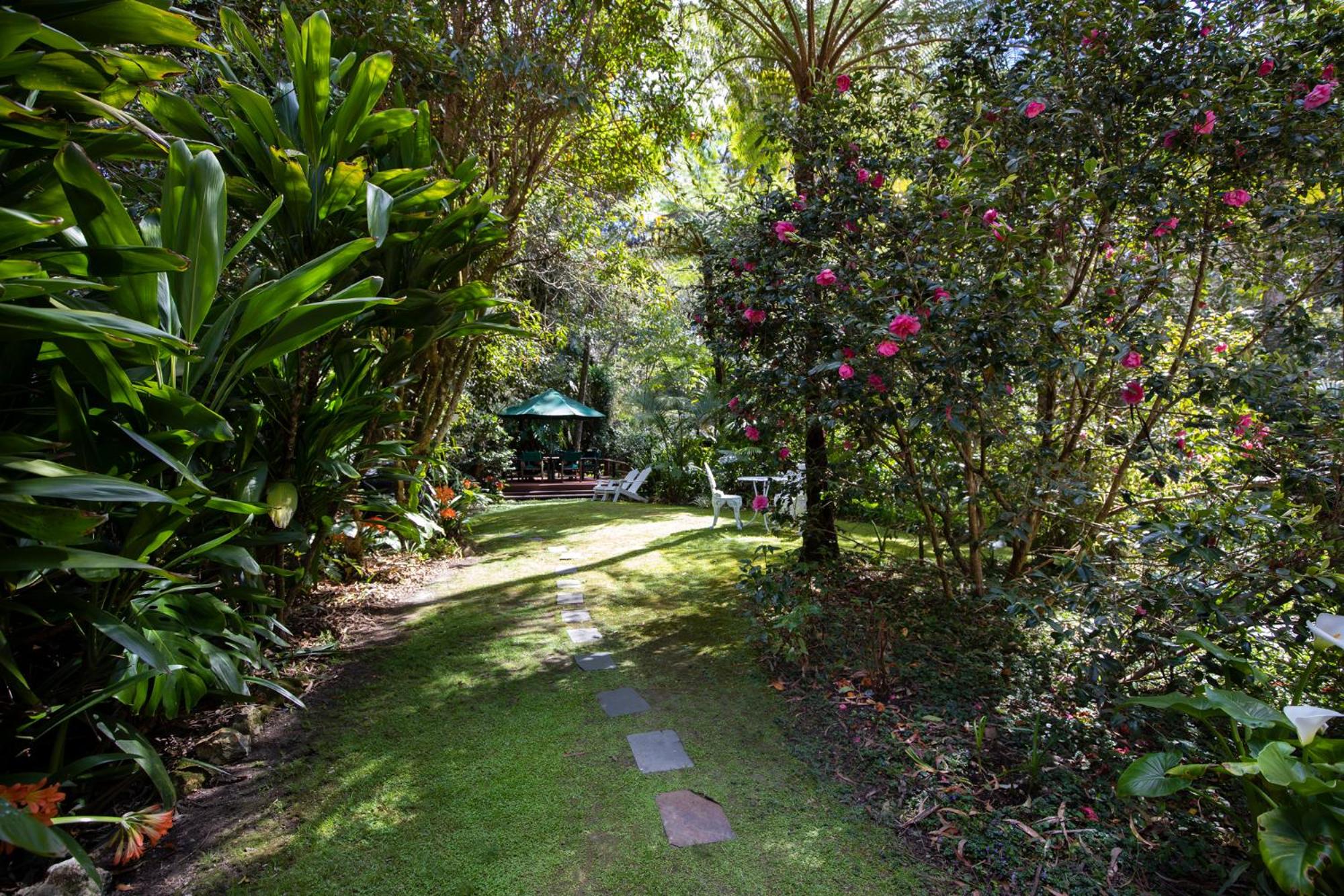 Rosella's On Springbrook