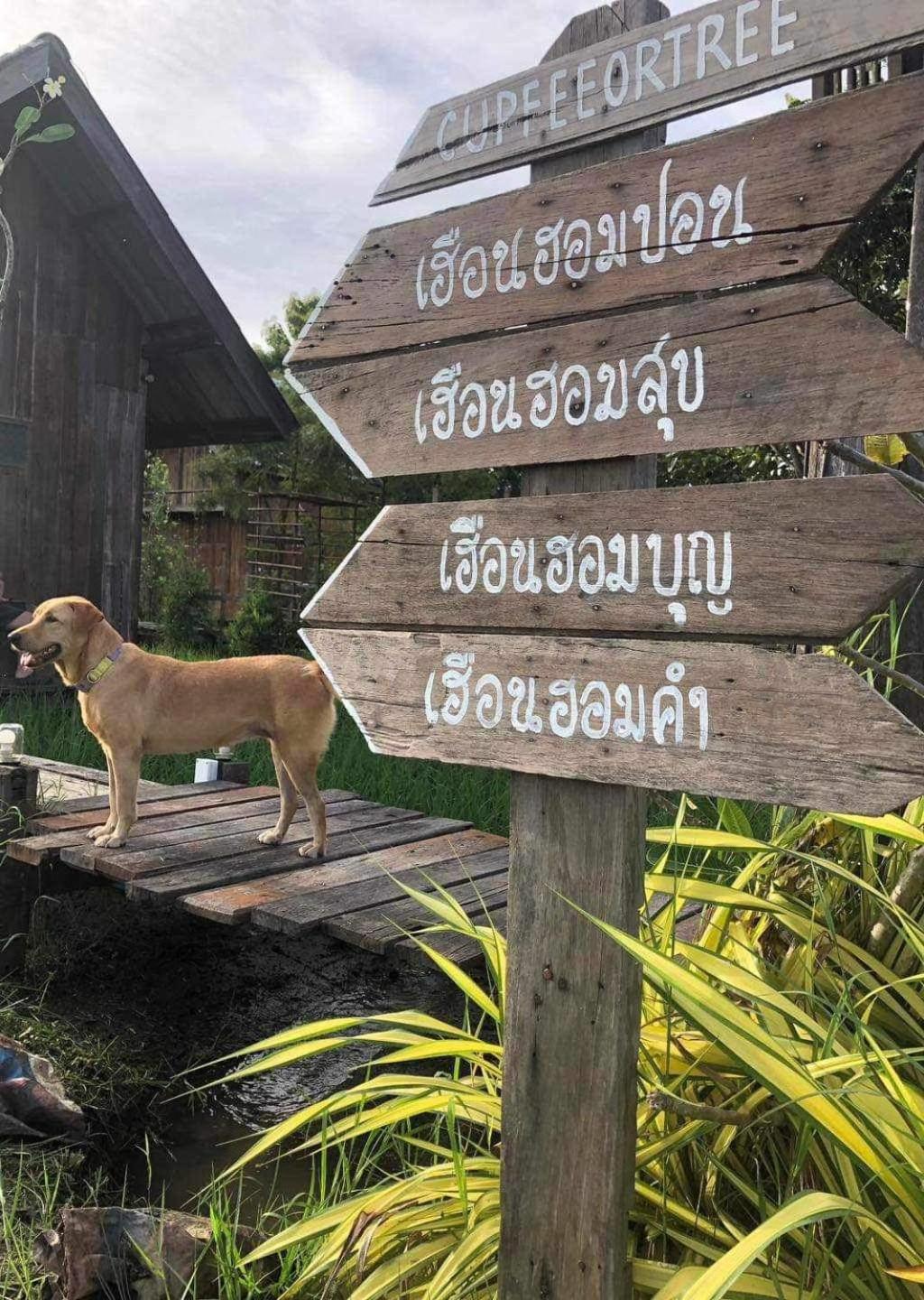 hueankwankao เฮือนขวัญข้าว