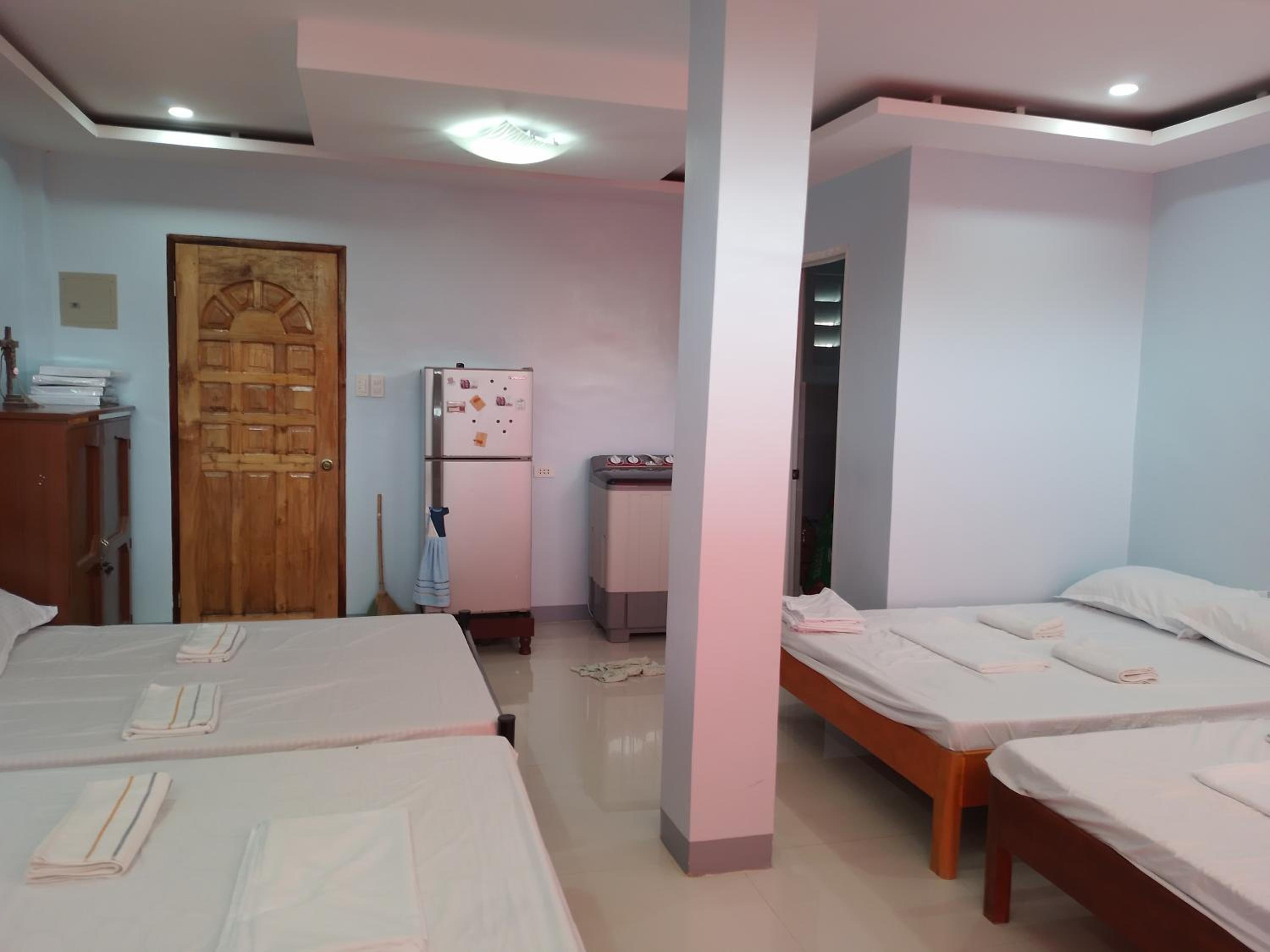 NELU GUEST HOUSE view 4